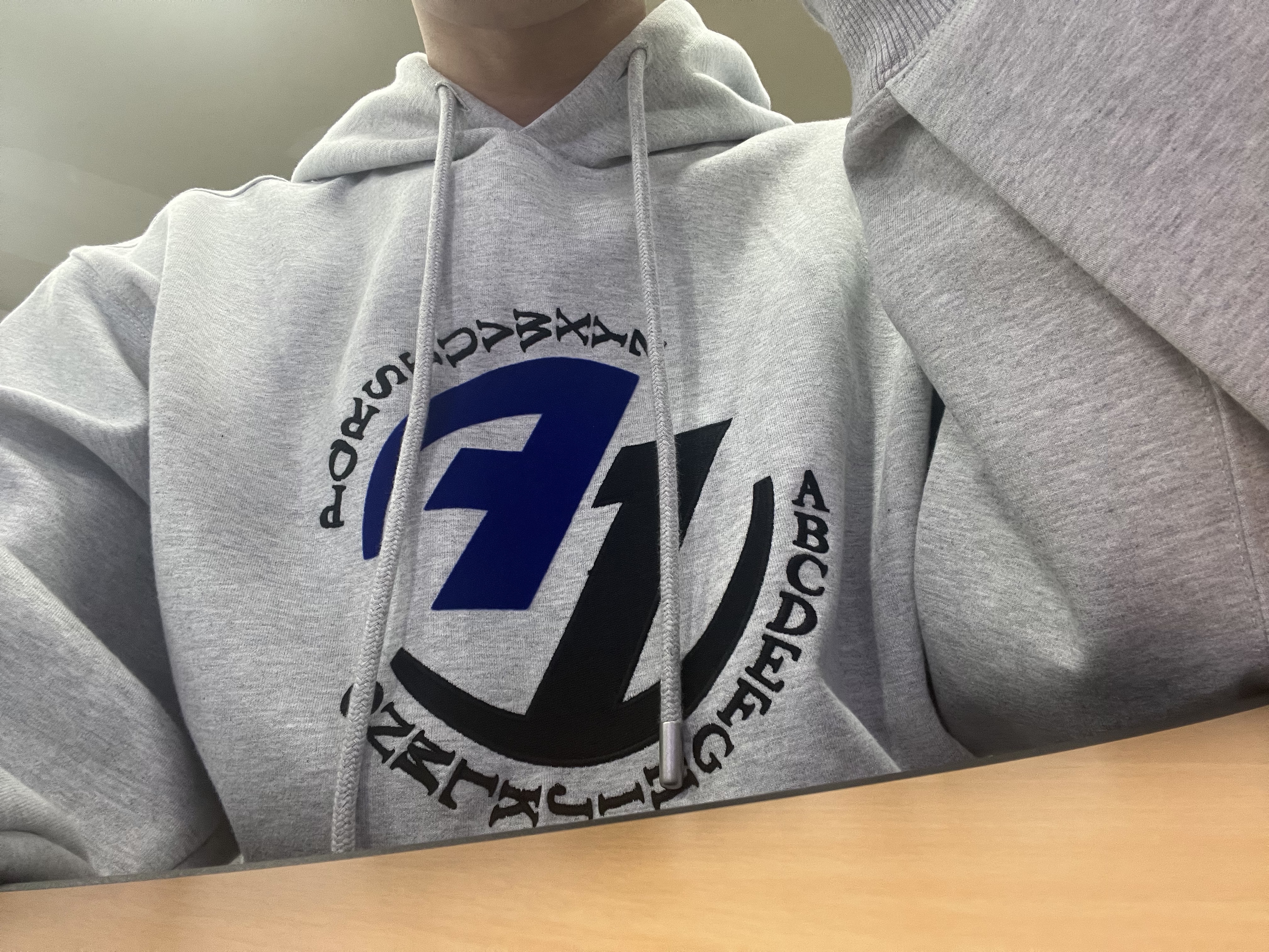 Zara x Ader Error Embroidery Hooded Sweatshirt Grey 착용 스타일