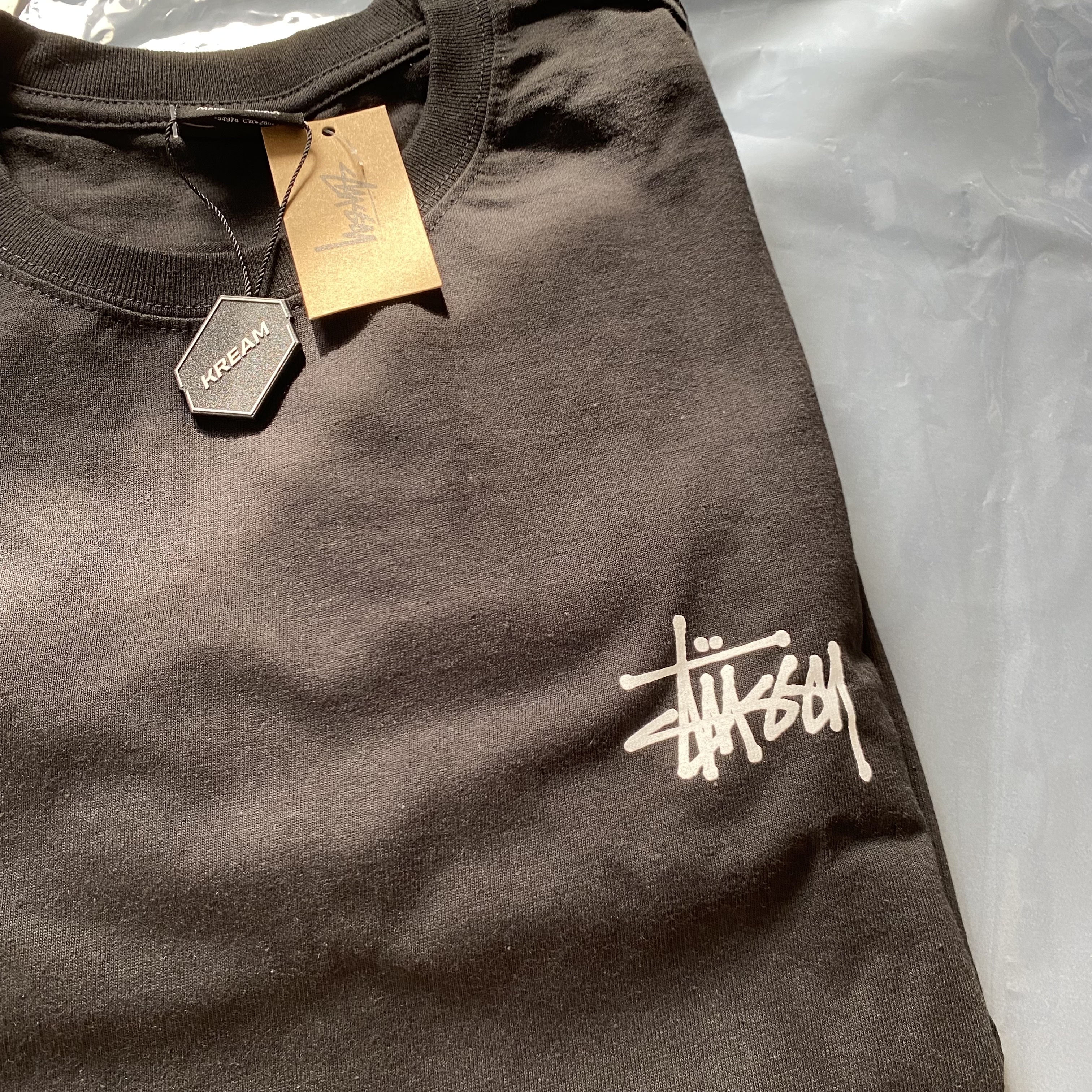 Stussy Basic Stussy LS T-Shirt Black 2022 착용 스타일