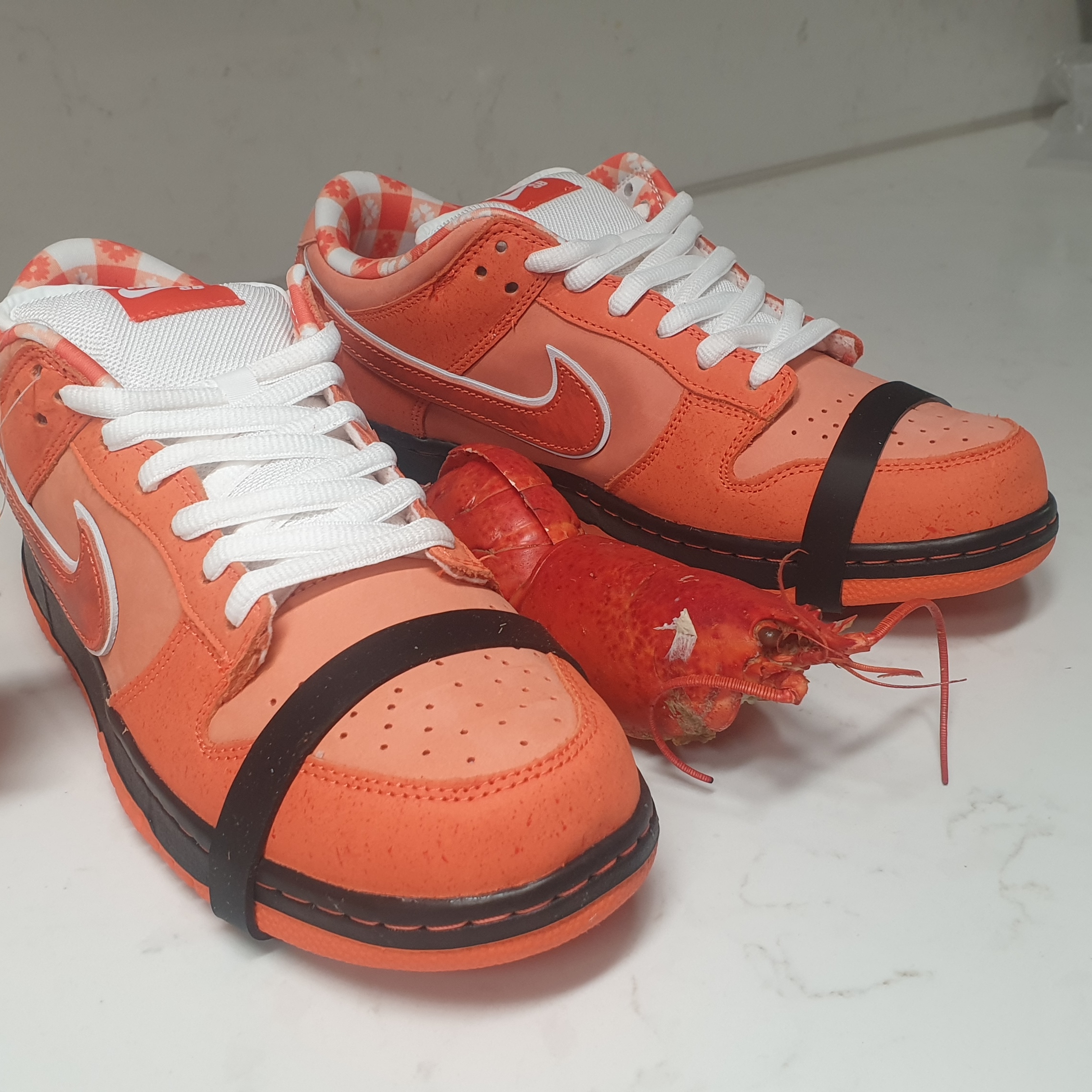 Nike x Concepts SB Dunk Low Orange Lobster (Regular Box) 착용 스타일