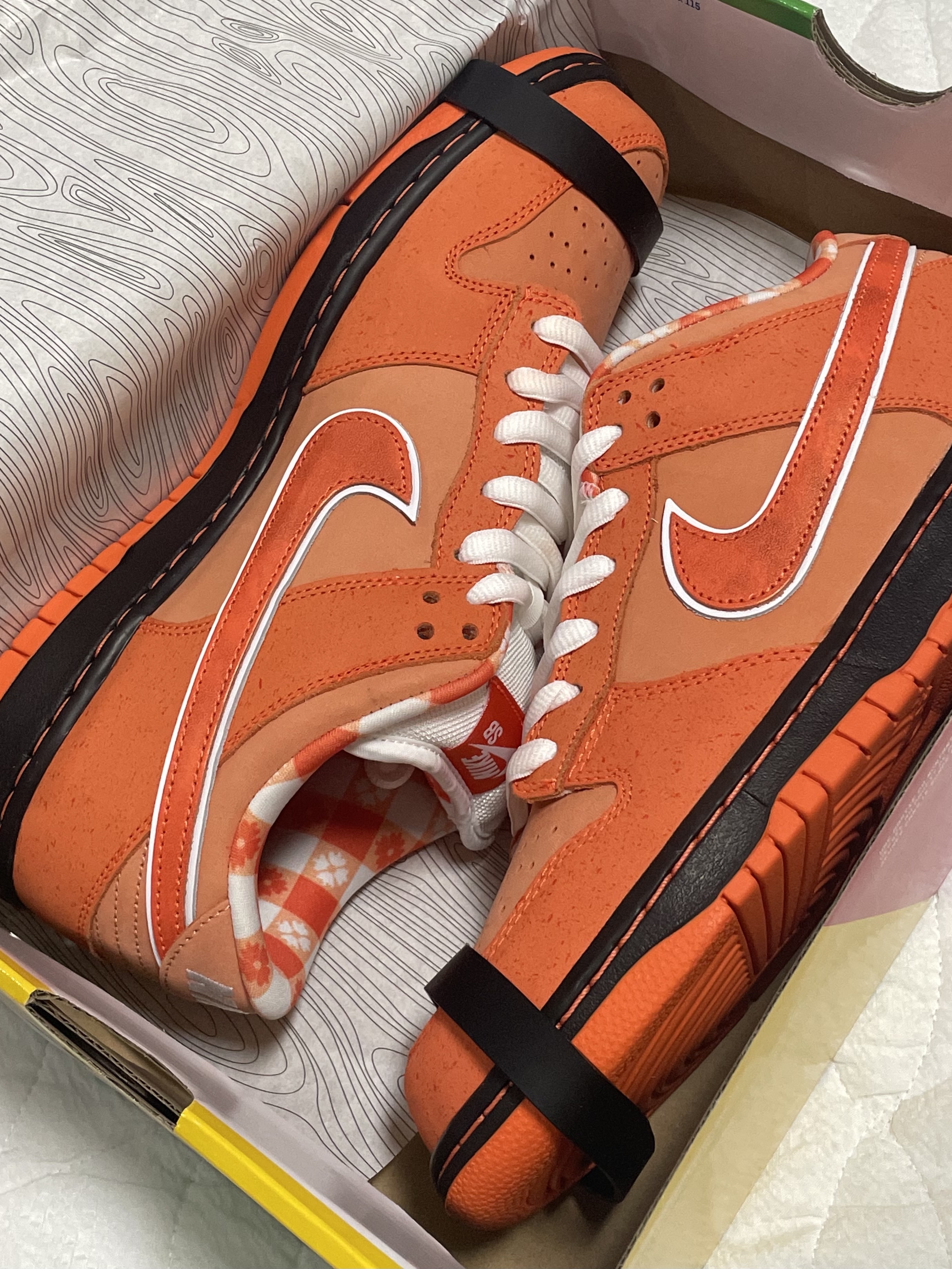 Nike x Concepts SB Dunk Low Orange Lobster (Regular Box) 착용 스타일