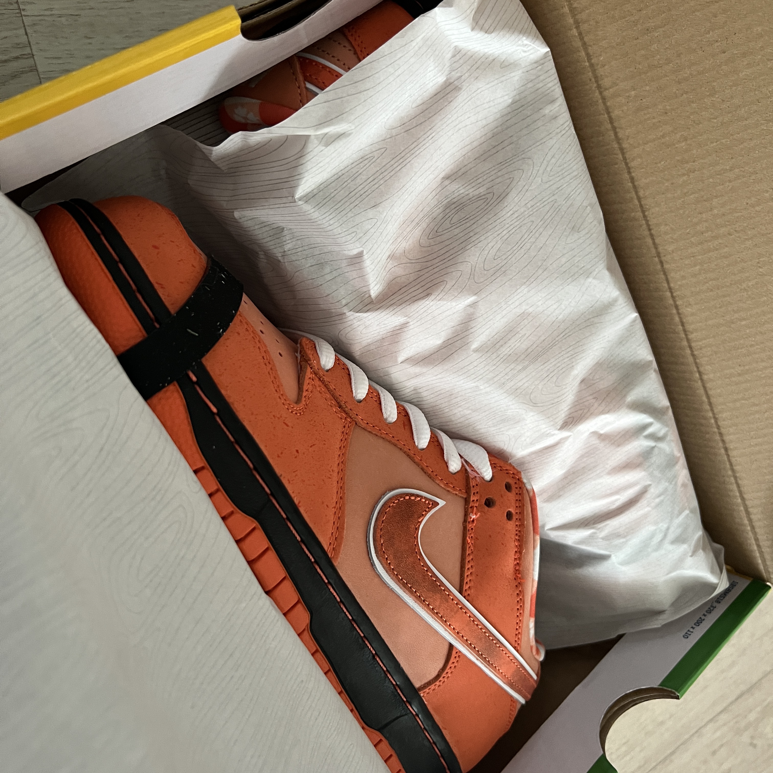 Nike x Concepts SB Dunk Low Orange Lobster (Regular Box) 착용 스타일