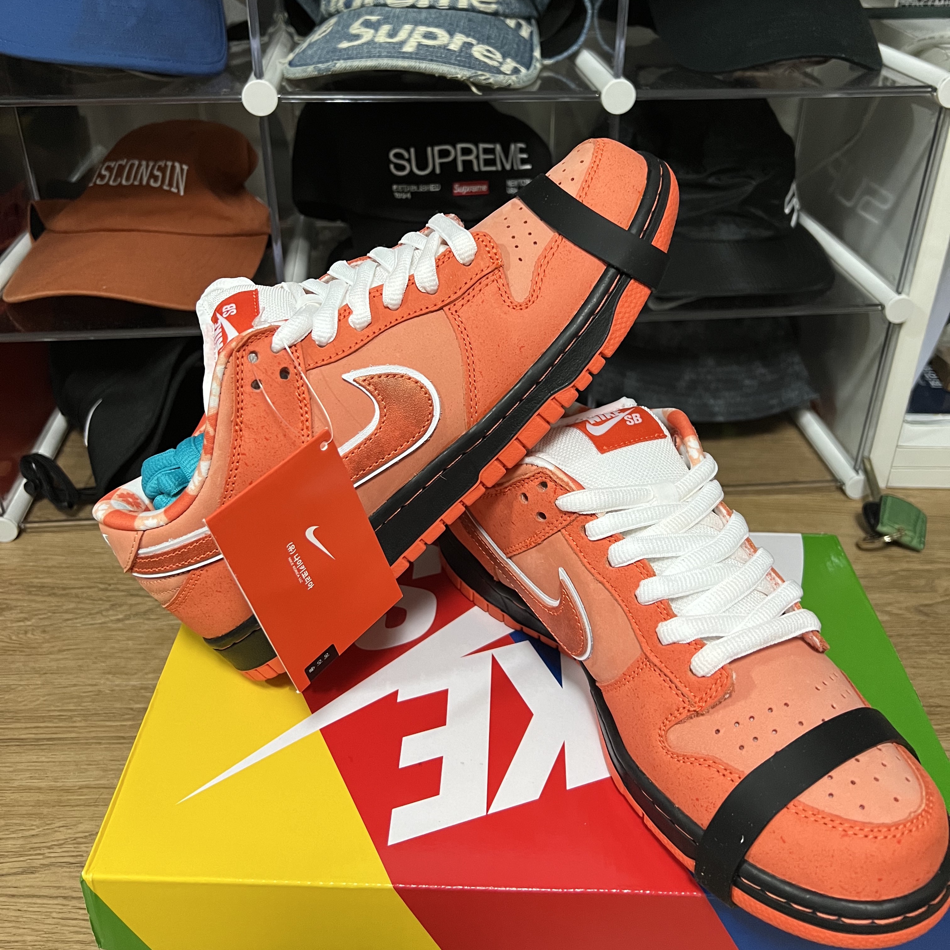 Nike x Concepts SB Dunk Low Orange Lobster (Regular Box) 착용 스타일