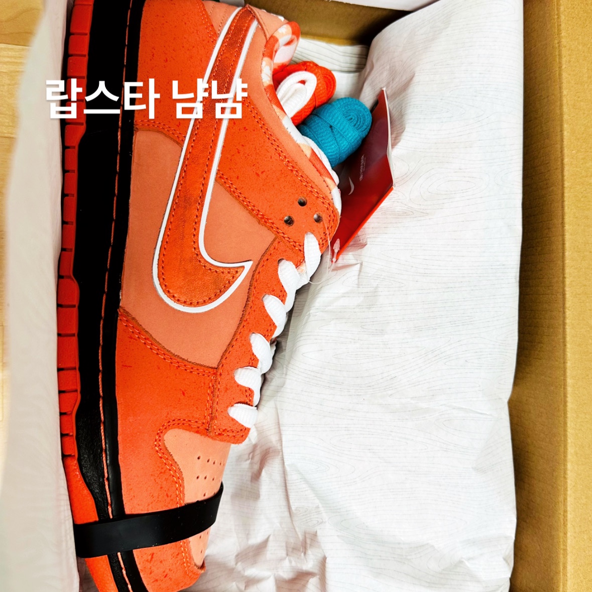 Nike x Concepts SB Dunk Low Orange Lobster (Regular Box) 착용 스타일