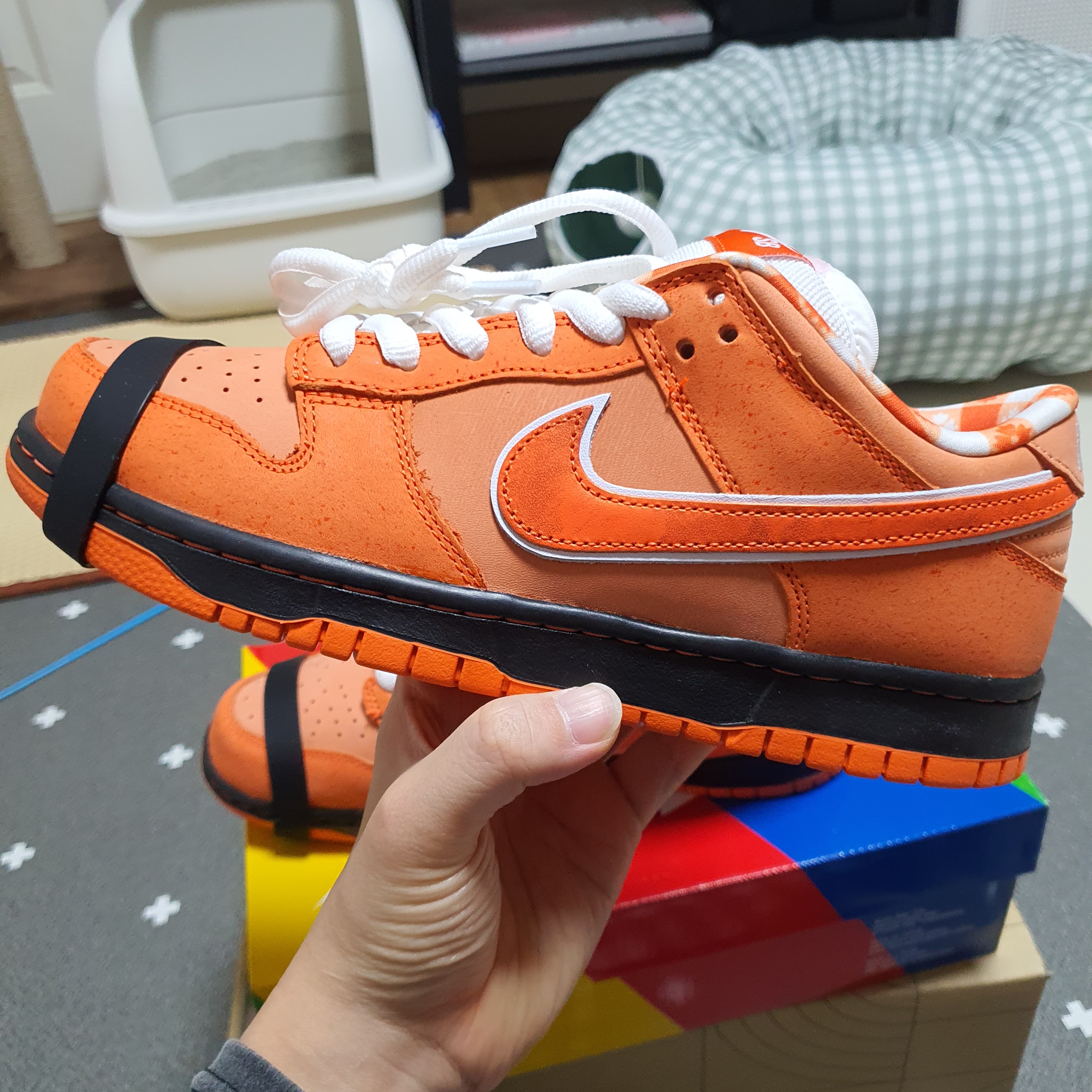 Nike x Concepts SB Dunk Low Orange Lobster (Regular Box) 착용 스타일 - 1
