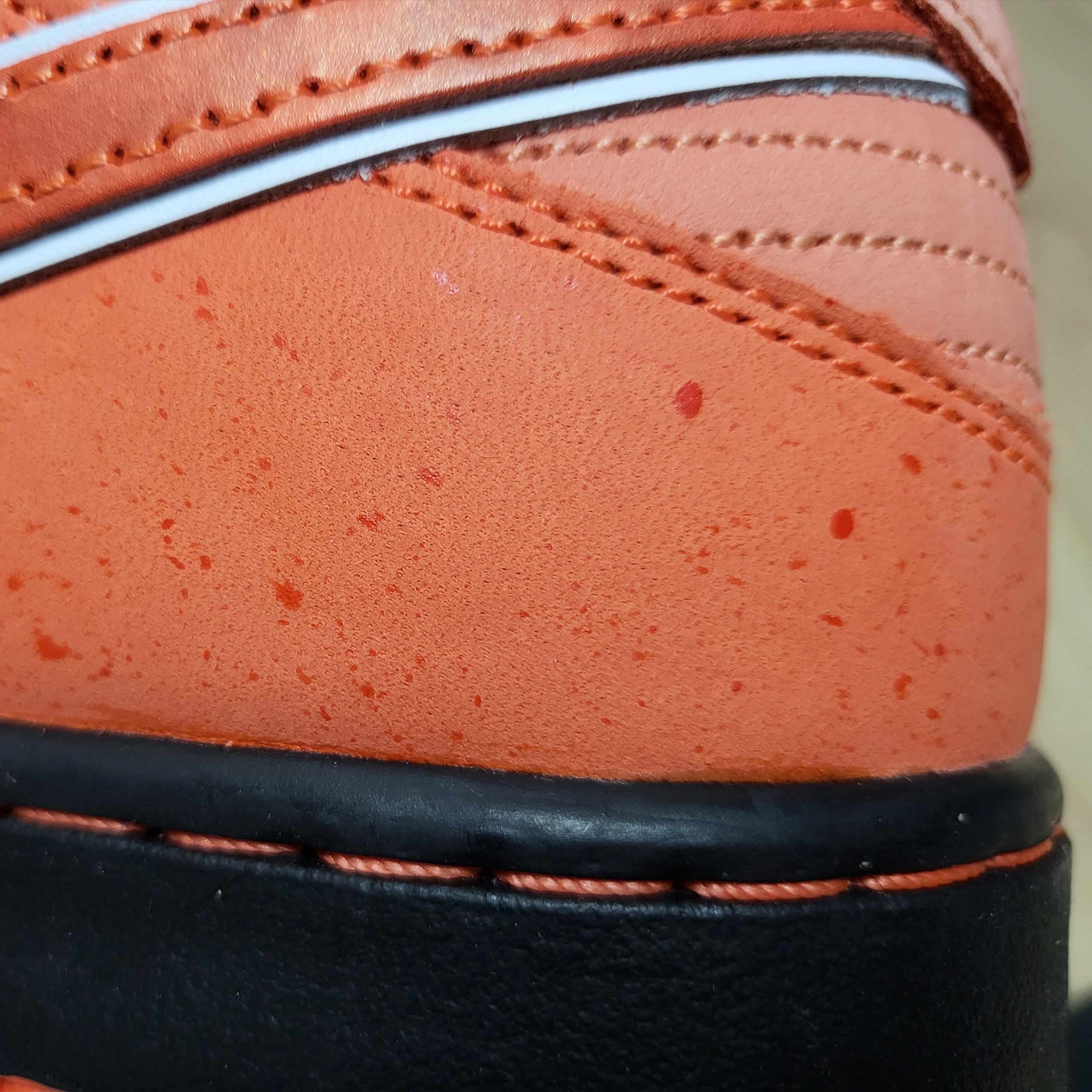 Nike x Concepts SB Dunk Low Orange Lobster (Regular Box) 착용 스타일 - 3