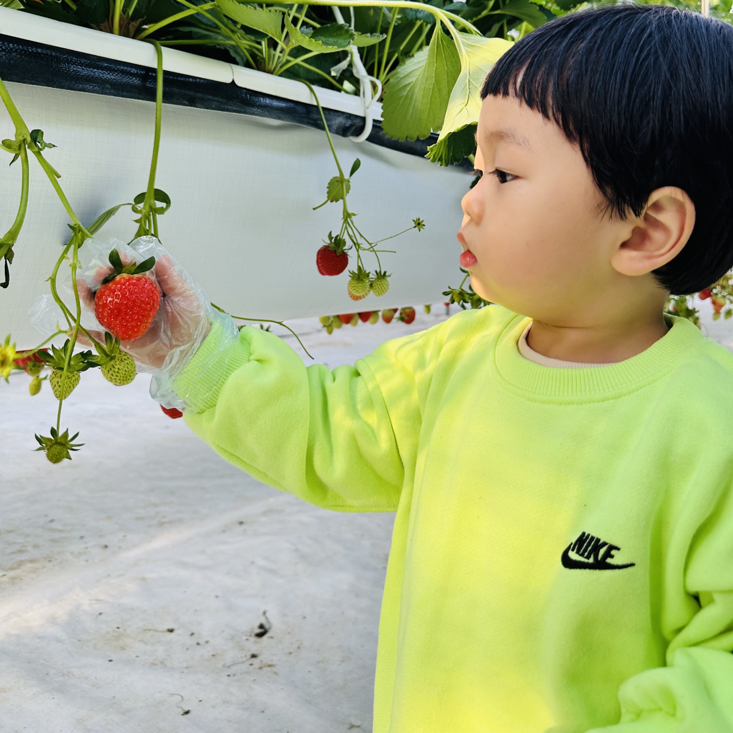 Nike H86 Korea Cap Black, Souvenir Official Eunify Classic Hoodie Blue 착용 스타일 - 5