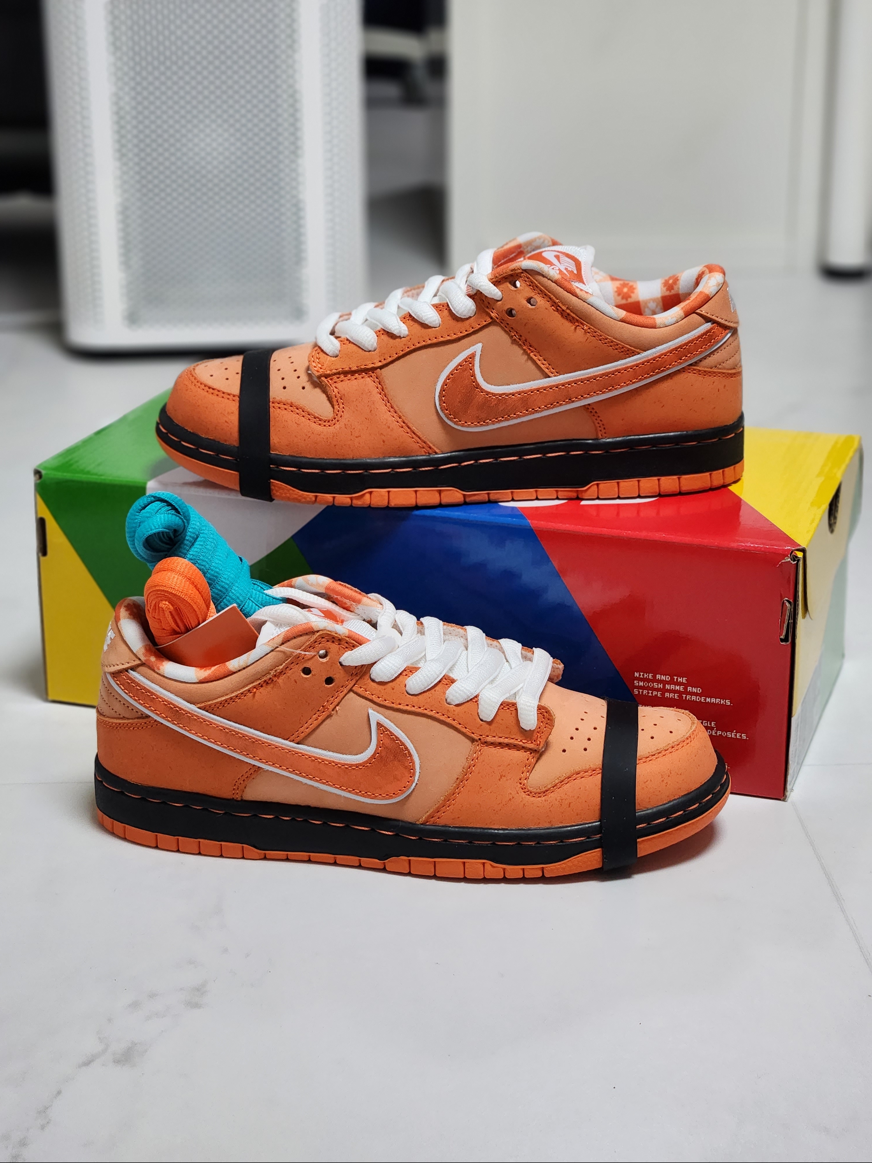 Nike x Concepts SB Dunk Low Orange Lobster (Regular Box) 착용 스타일 - 3