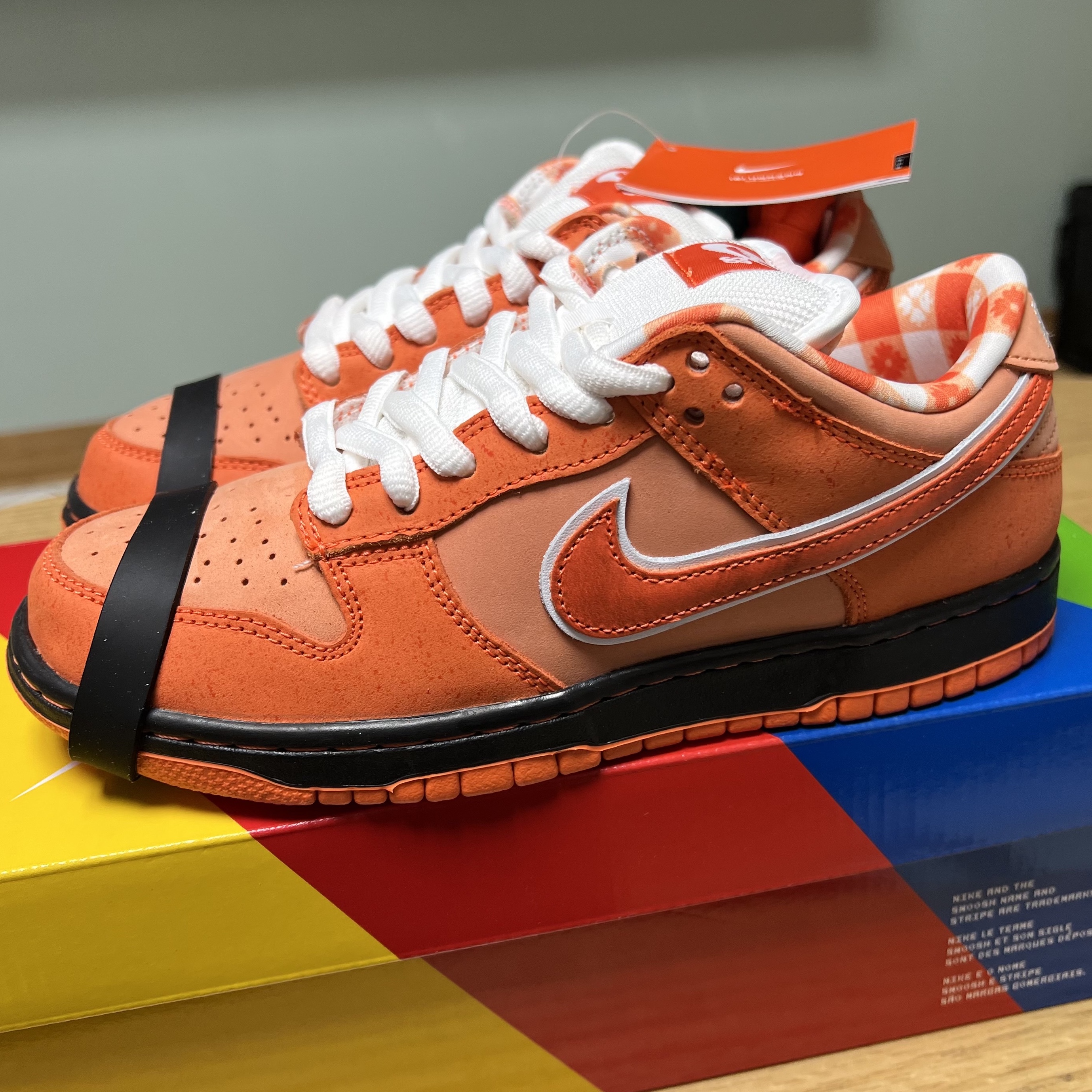 Nike x Concepts SB Dunk Low Orange Lobster (Regular Box) 착용 스타일