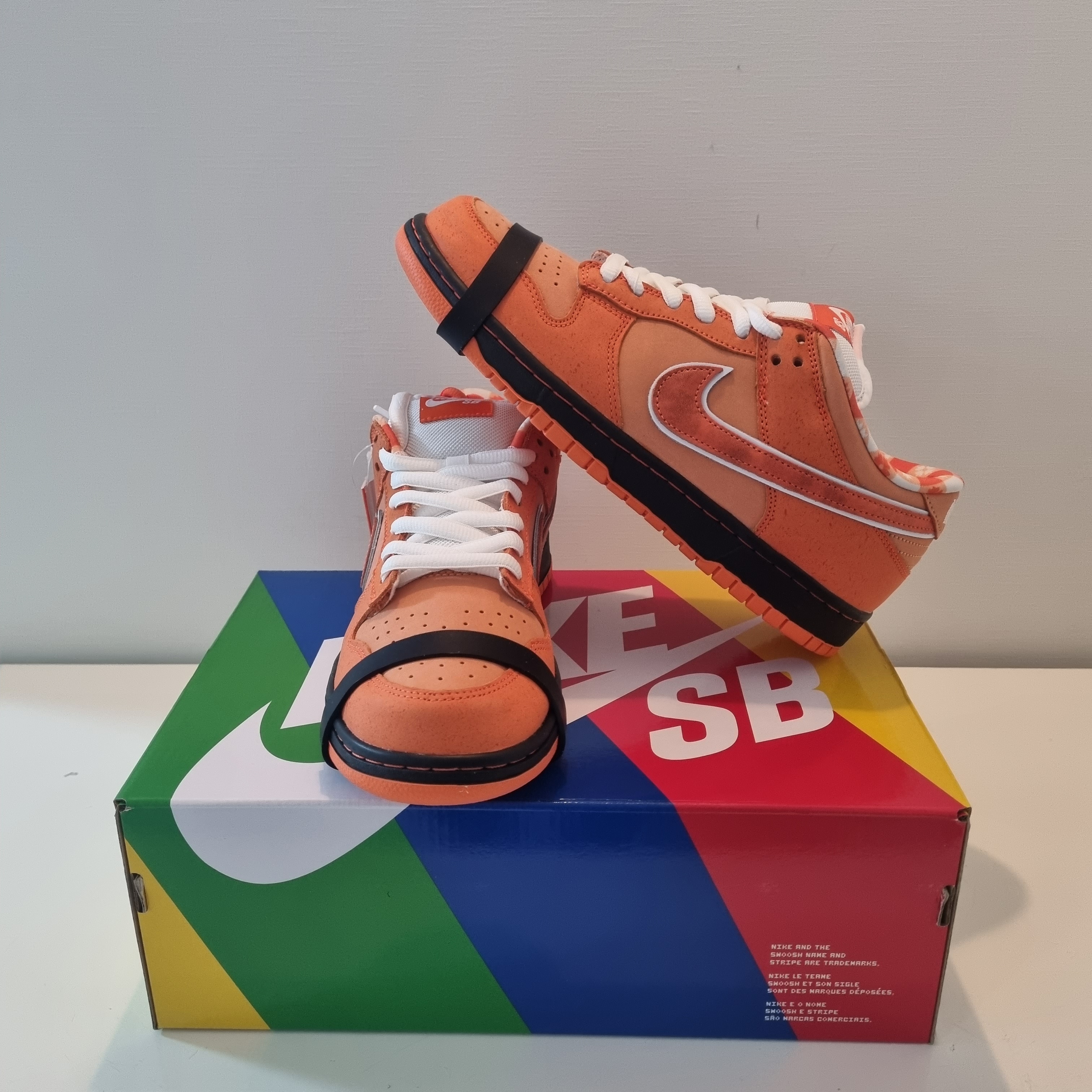 Nike x Concepts SB Dunk Low Orange Lobster (Regular Box) 착용 스타일 - 1