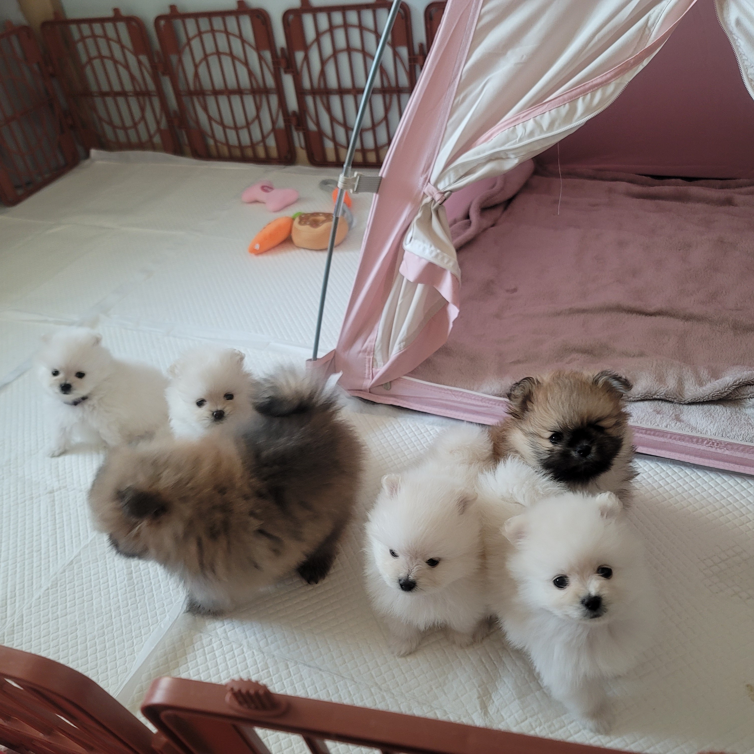 김성록님의 스타일 - 4