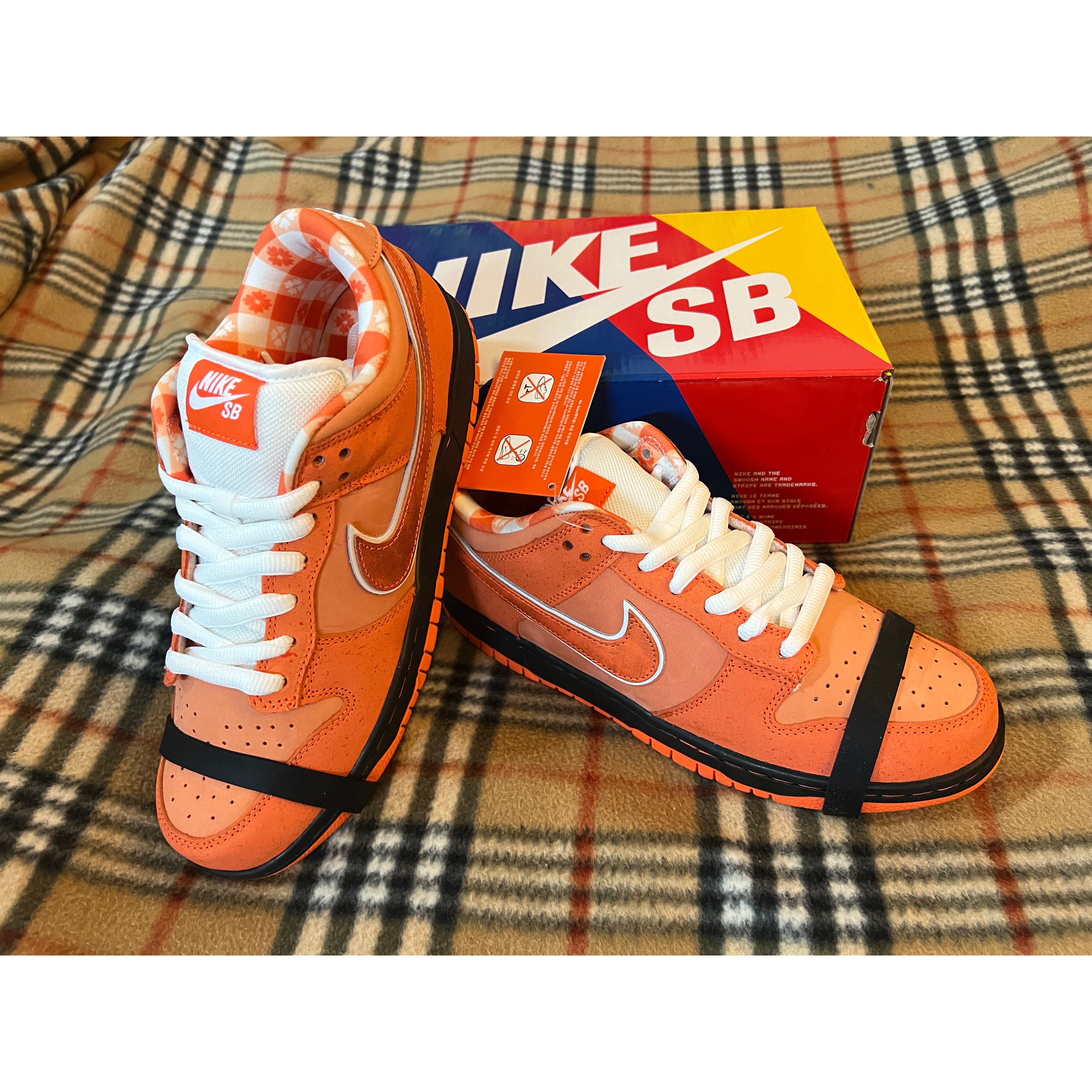 Nike x Concepts SB Dunk Low Orange Lobster (Regular Box) 착용 스타일