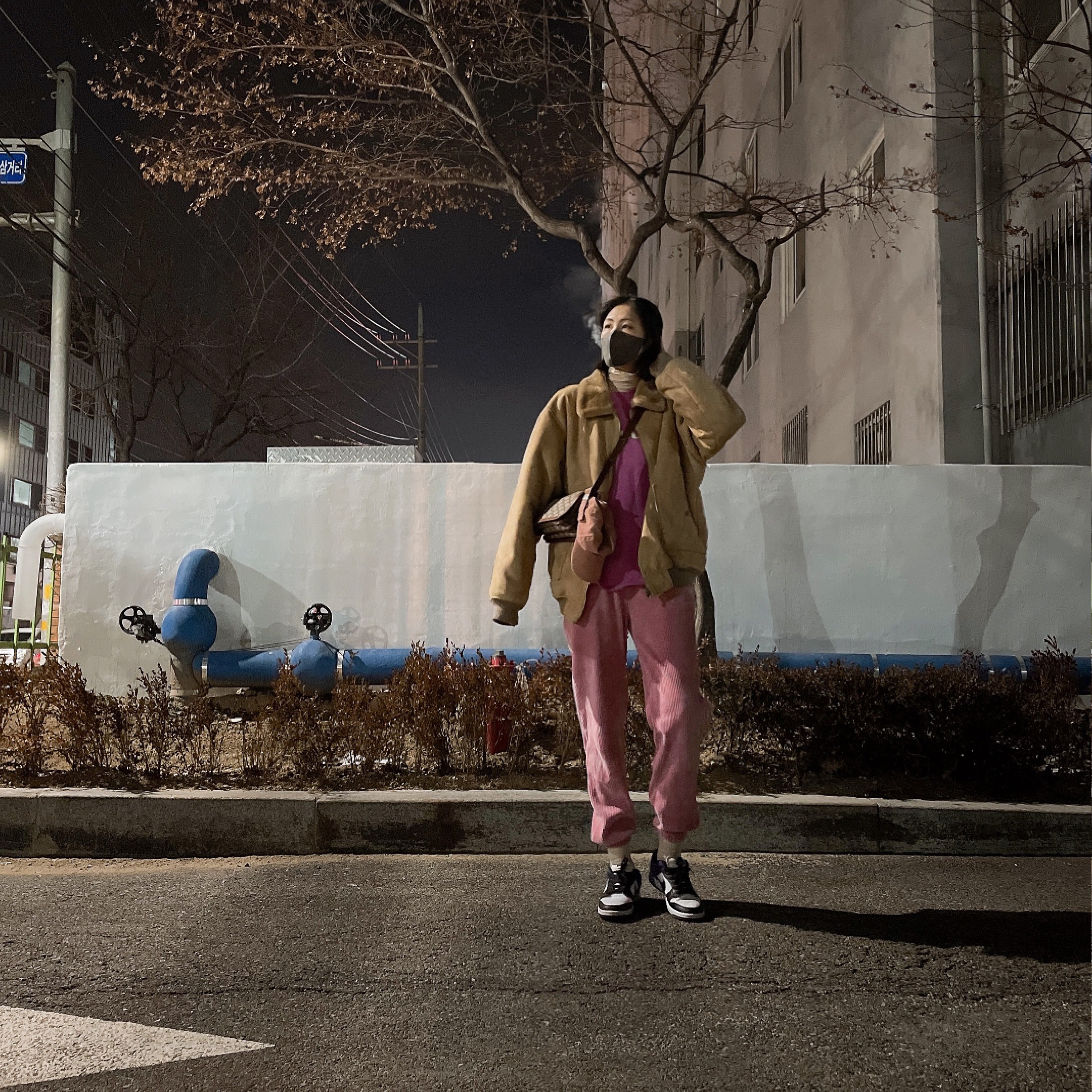 Nike SB Dunk Low Pro Court Purple 착용 스타일