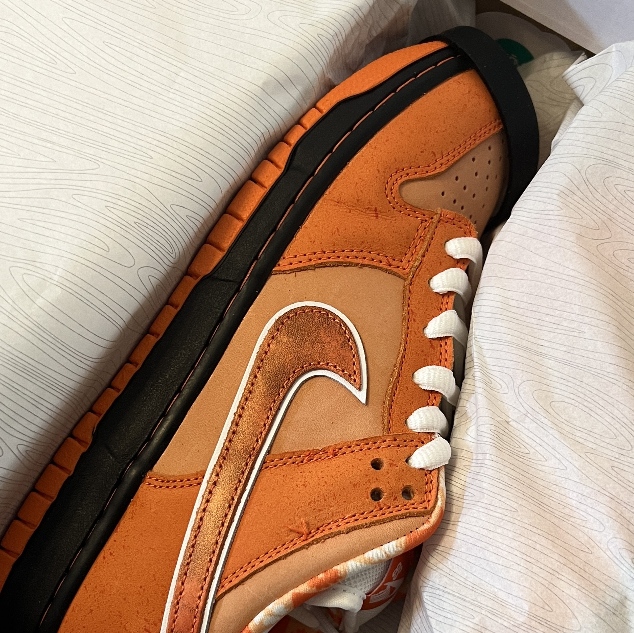 Nike x Concepts SB Dunk Low Orange Lobster (Regular Box) 착용 스타일