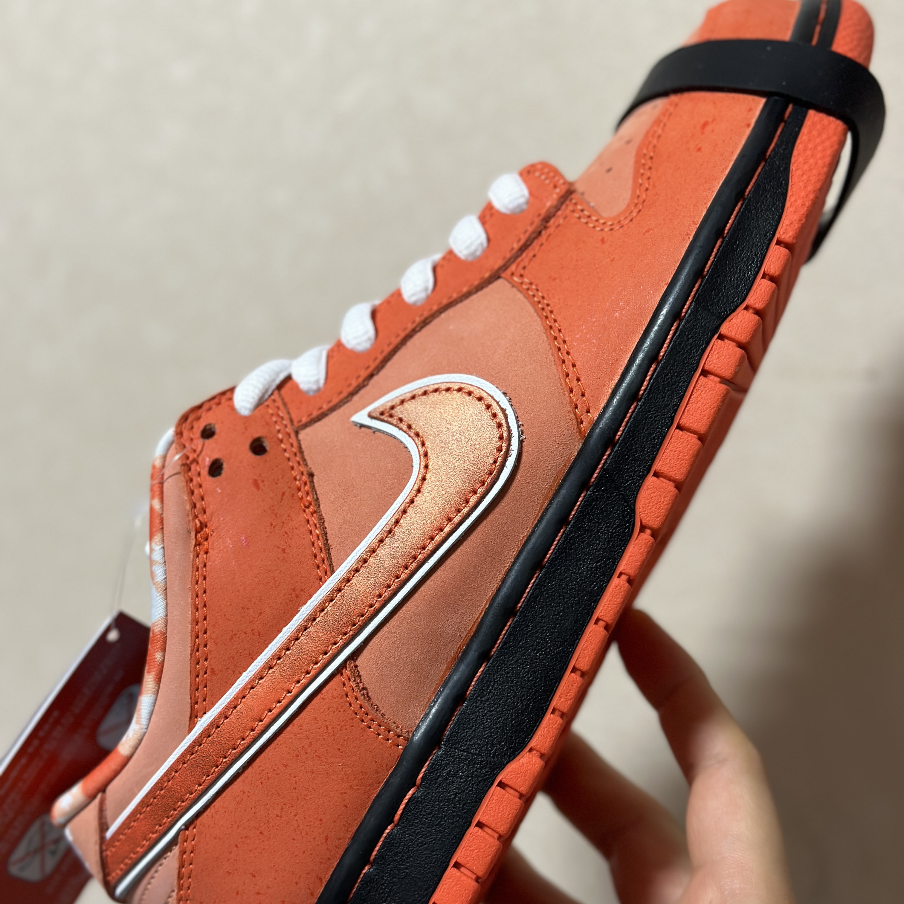 Nike x Concepts SB Dunk Low Orange Lobster (Regular Box) 착용 스타일 - 3