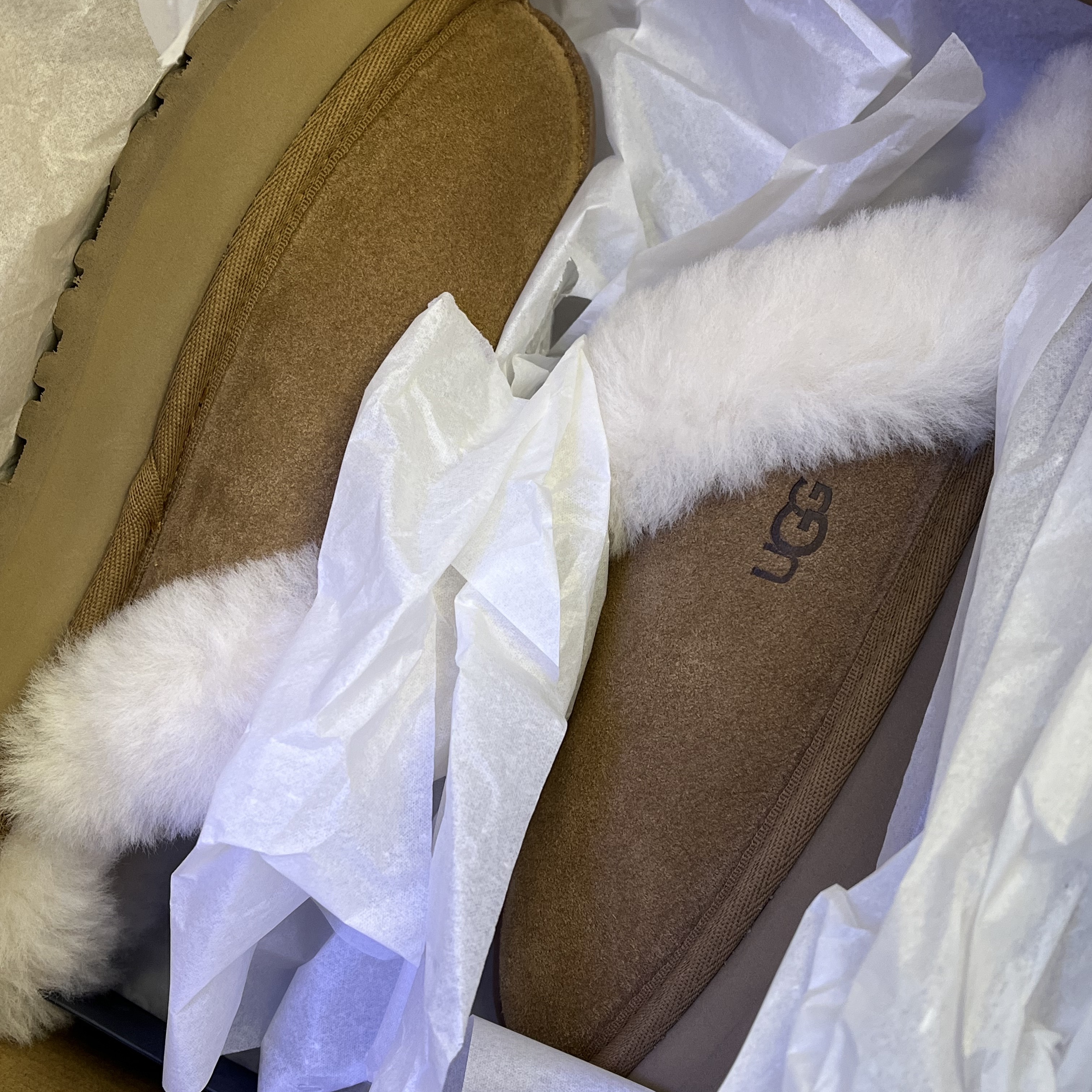 (W) UGG Disquette Slipper Chestnut 착용 스타일