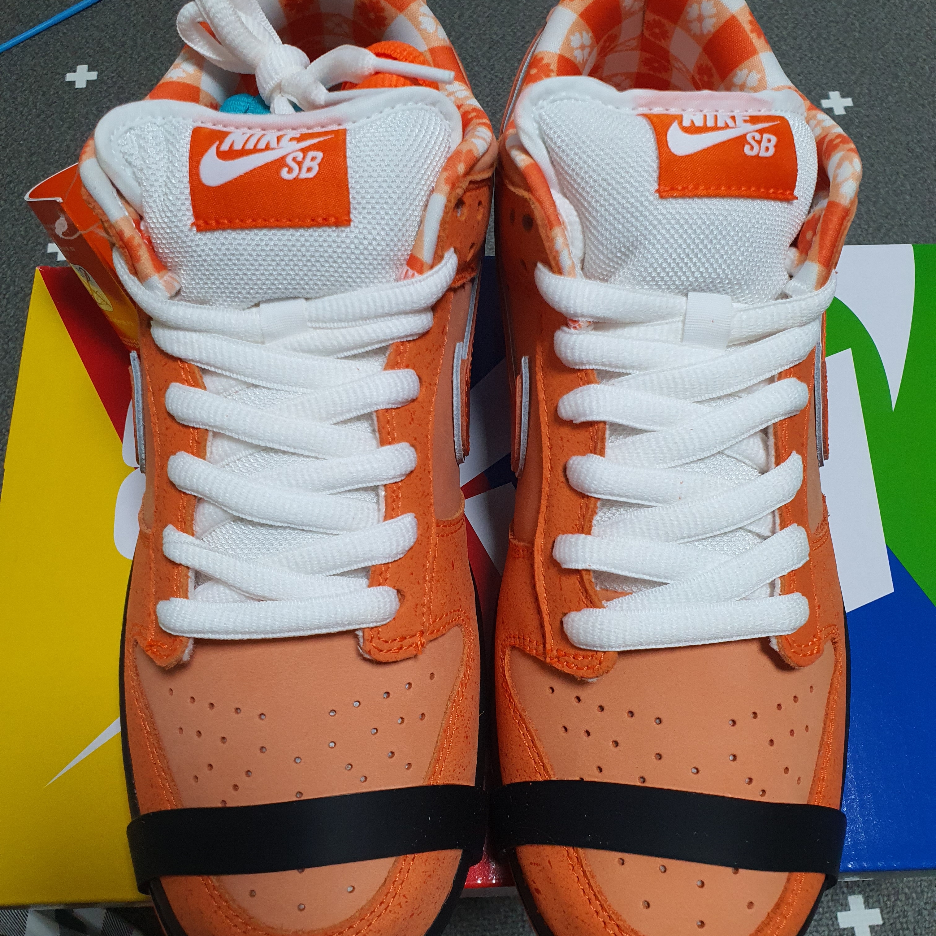 Nike x Concepts SB Dunk Low Orange Lobster (Regular Box) 착용 스타일 - 3