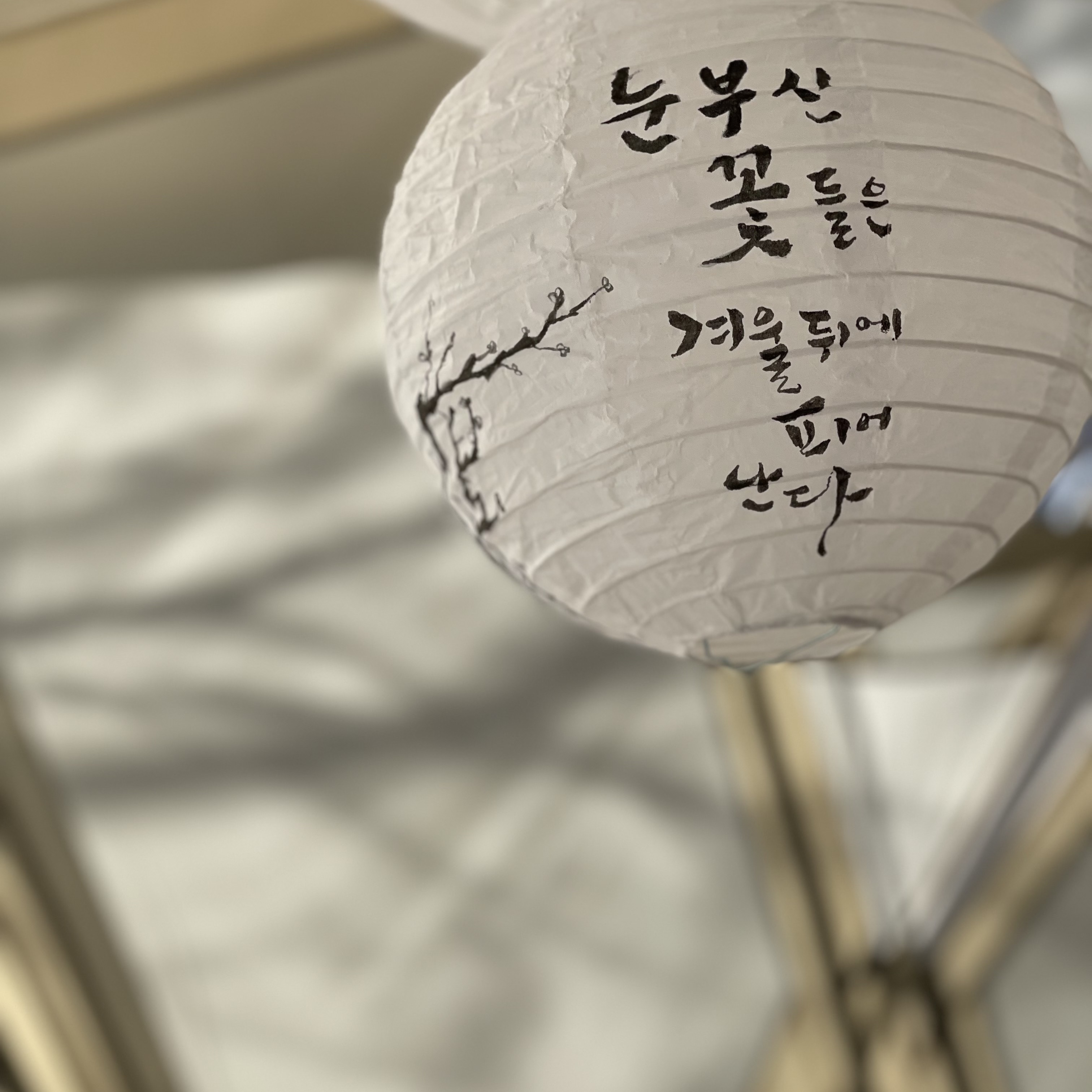 wooki4b님의 스타일