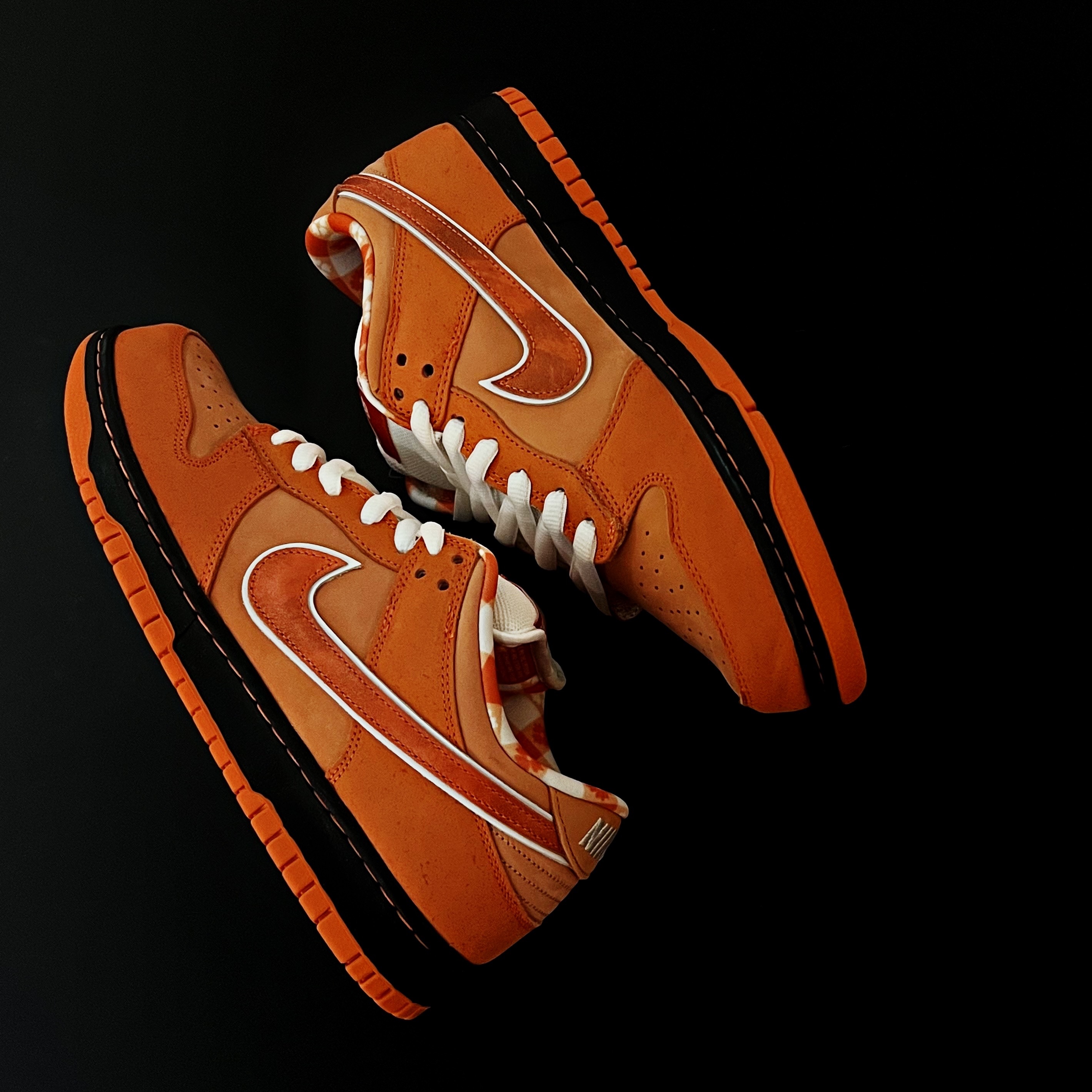 Nike x Concepts SB Dunk Low Orange Lobster (Regular Box) 착용 스타일