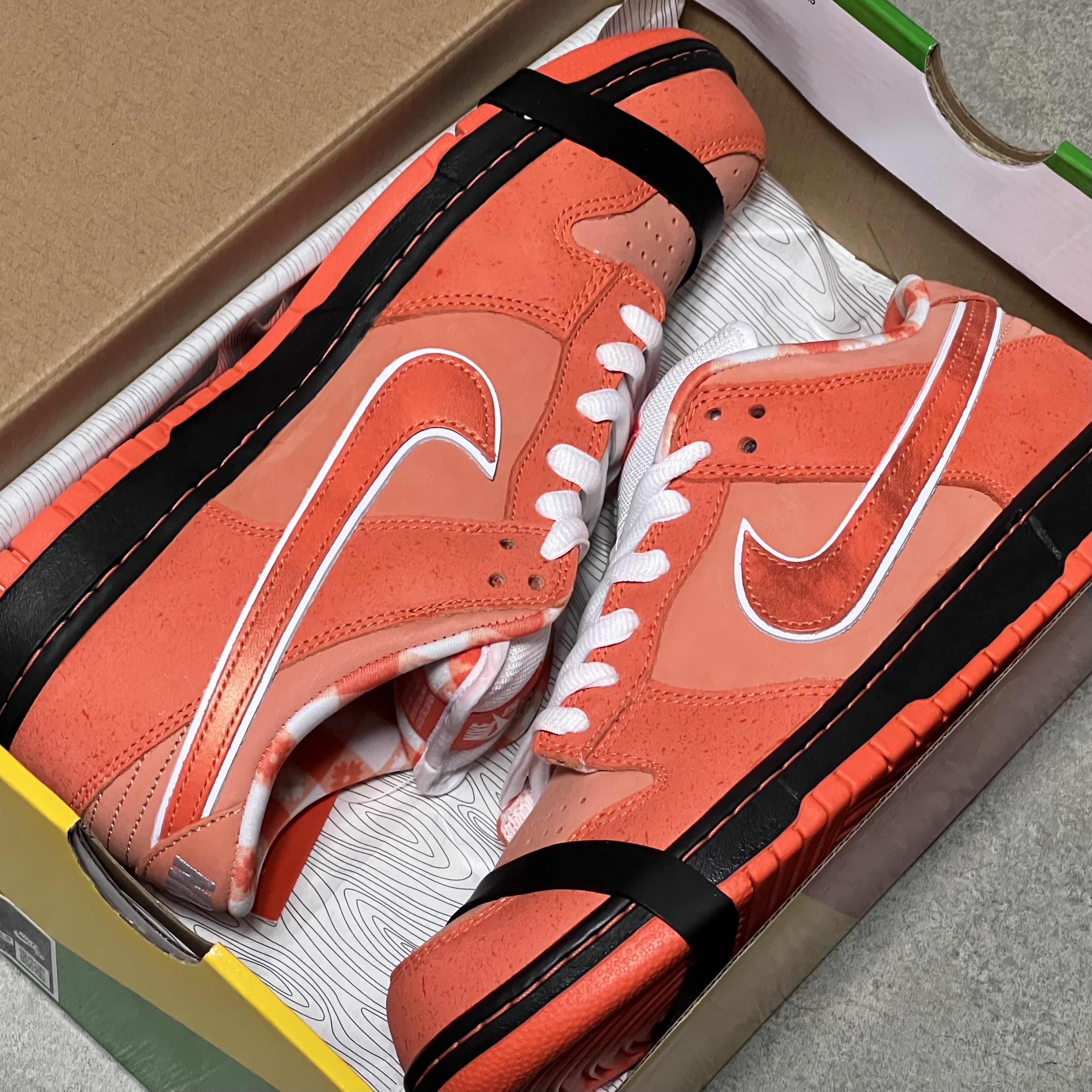 Nike x Concepts SB Dunk Low Orange Lobster (Regular Box) 착용 스타일