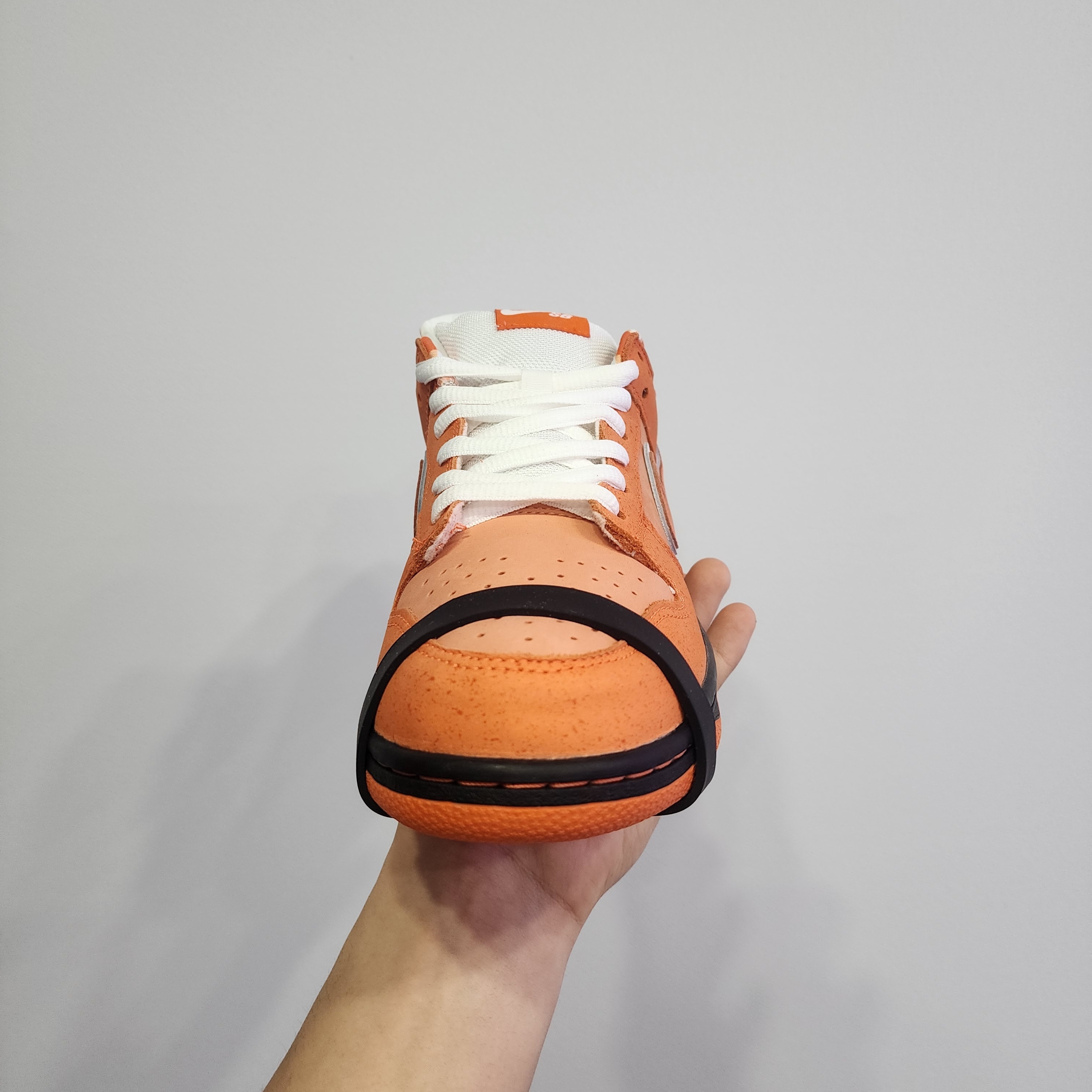 Nike x Concepts SB Dunk Low Orange Lobster (Regular Box), Nike x Concepts SB Dunk Low Orange Lobster (Special Box) 착용 스타일 - 2