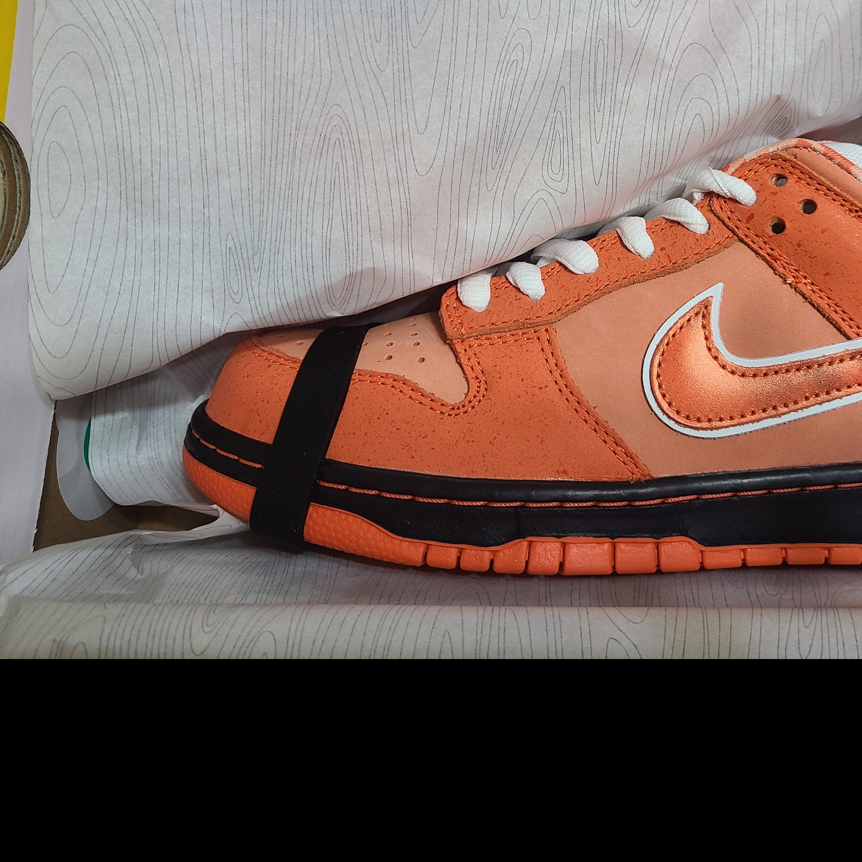 Nike x Concepts SB Dunk Low Orange Lobster (Regular Box) 착용 스타일 - 2