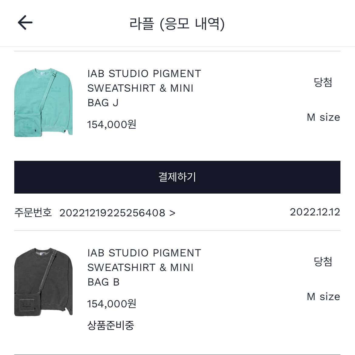 IAB Studio Pigment Sweatshirt & Mini Bag Black, IAB Studio Pigment Sweatshirt & Mini Bag Jade 착용 스타일