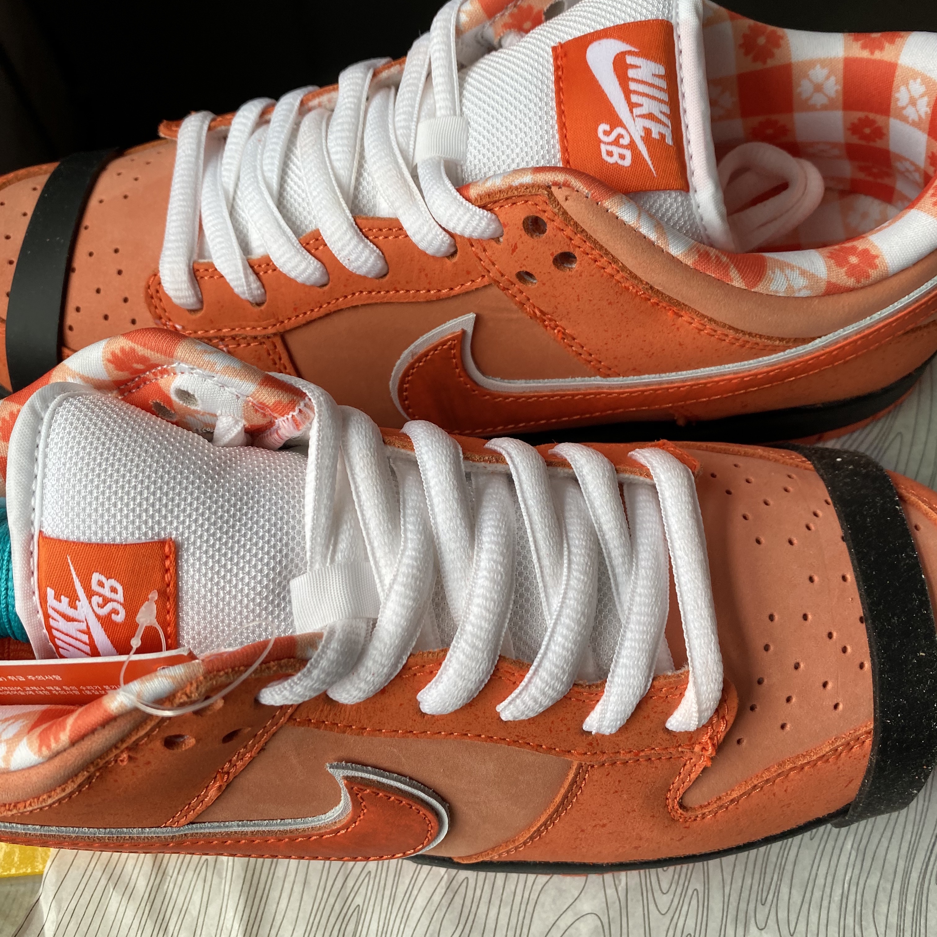 Nike x Concepts SB Dunk Low Orange Lobster (Regular Box) 착용 스타일