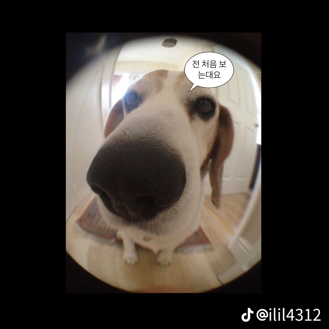 관심 유저 프로필 이미지