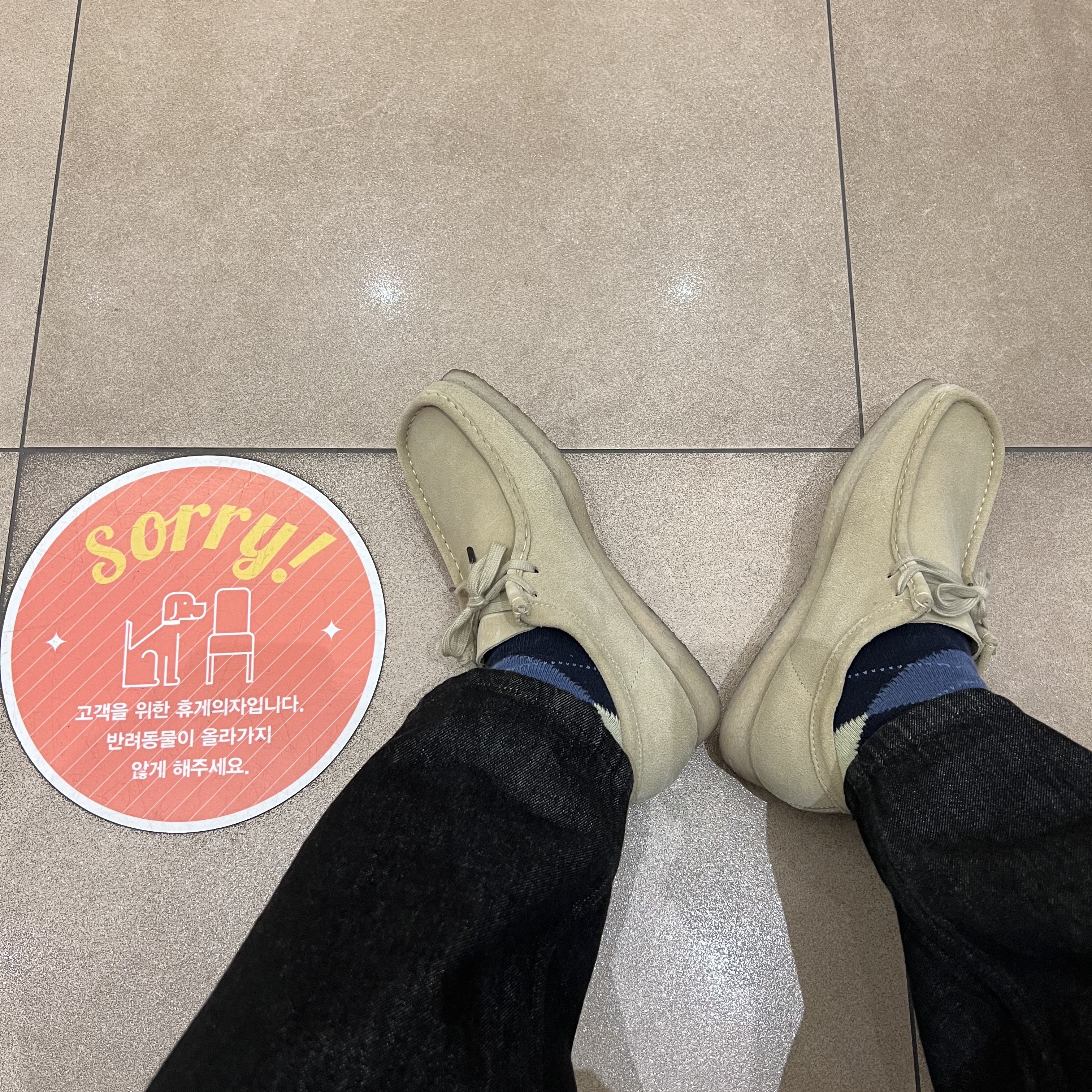 Clarks Wallabee Maple Suede 착용 스타일