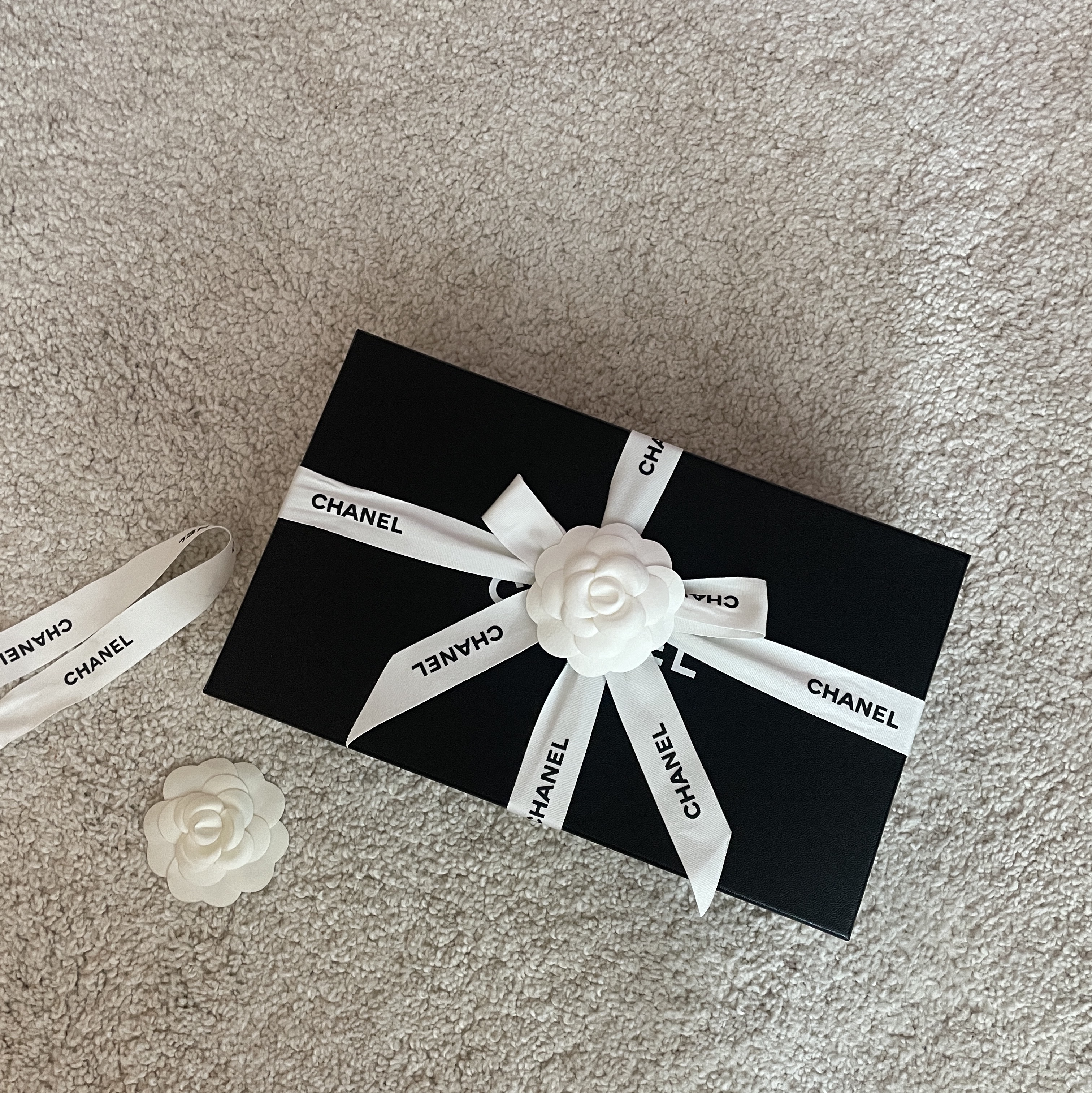 (W) Chanel Ballerina Flat Lambskin & Beige Black 착용 스타일
