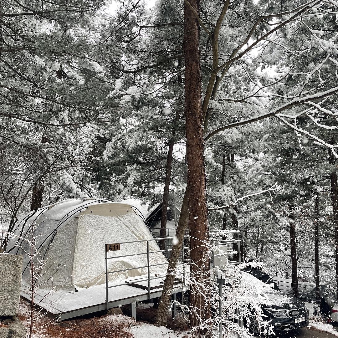 Snow Peak Land Lock Pro. Ivory 착용 스타일 - 2