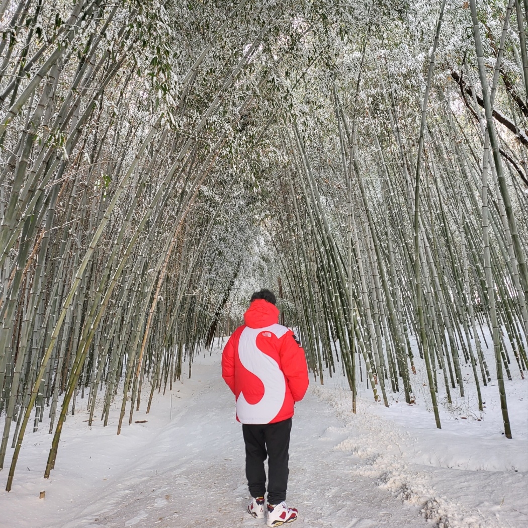 Supreme x The North Face S Logo Summit Series Himalayan Parka Red - 20FW, Essentials The Core Collection Sweatpants Black 착용 스타일 - 1