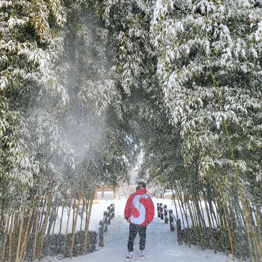 Supreme x The North Face S Logo Summit Series Himalayan Parka Red - 20FW, Essentials The Core Collection Sweatpants Black 착용 스타일 - 2