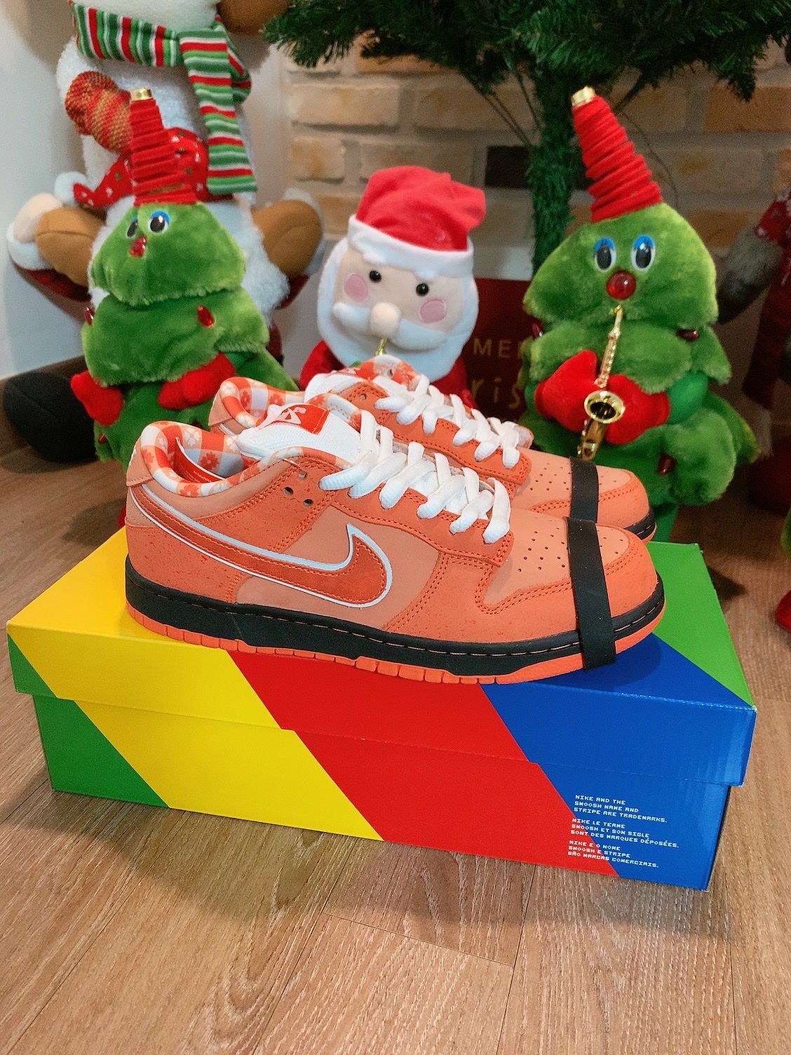 Nike x Concepts SB Dunk Low Orange Lobster (Regular Box) 착용 스타일