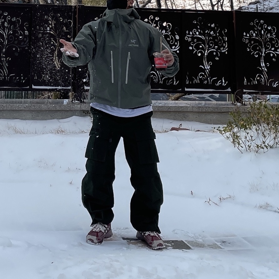 Arc'teryx Alpha SV Jacket Forage, IAB Studio T-Shirt White Navy - 22FW 착용 스타일 - 1