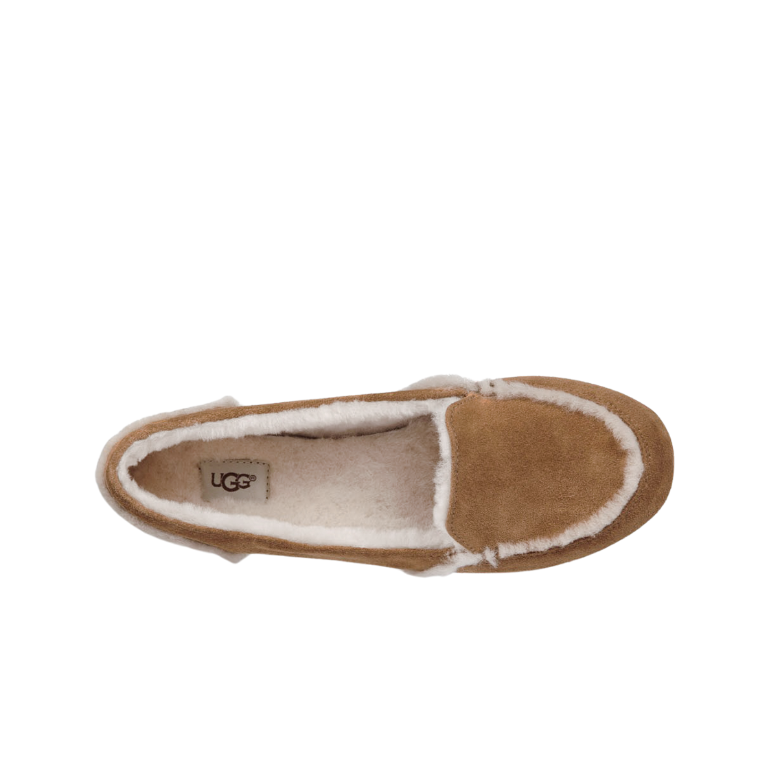 (W) 어그 헤일리 로퍼 체스트넛((W) UGG Hailey Loafer Chestnut) - 2