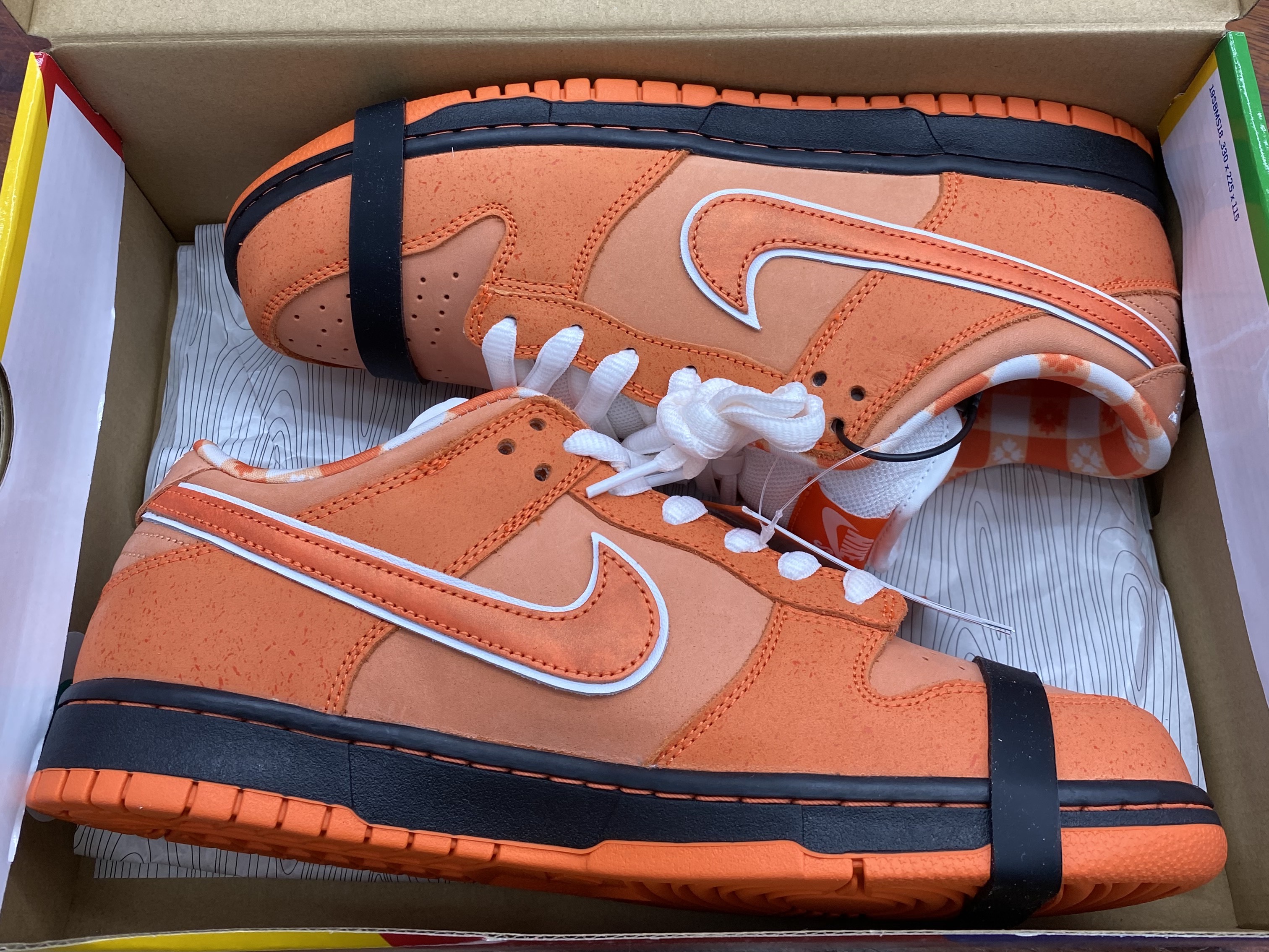 Nike x Concepts SB Dunk Low Orange Lobster (Regular Box) 착용 스타일