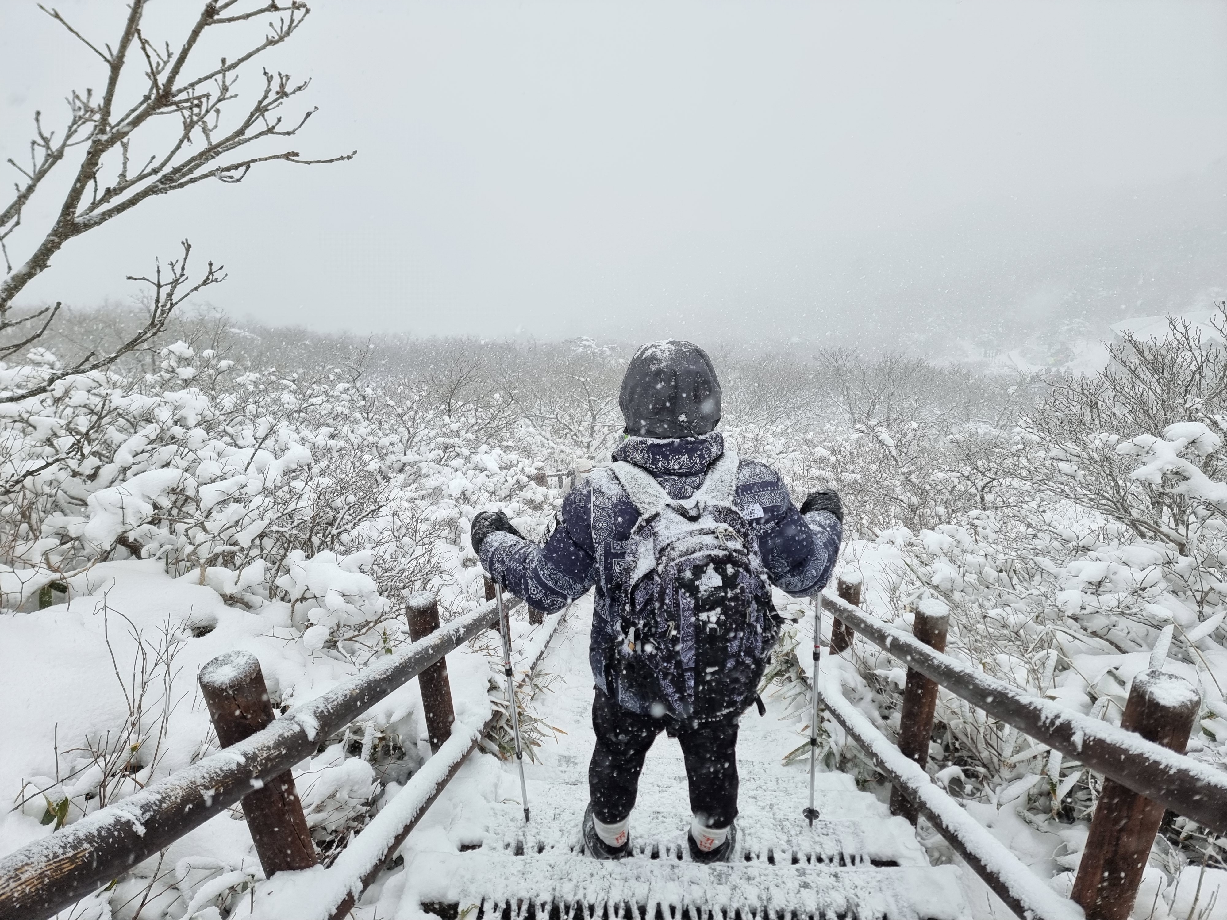 The North Face Big Shot Jet Black, The North Face Aspen Air Jacket Dark Navy 착용 스타일