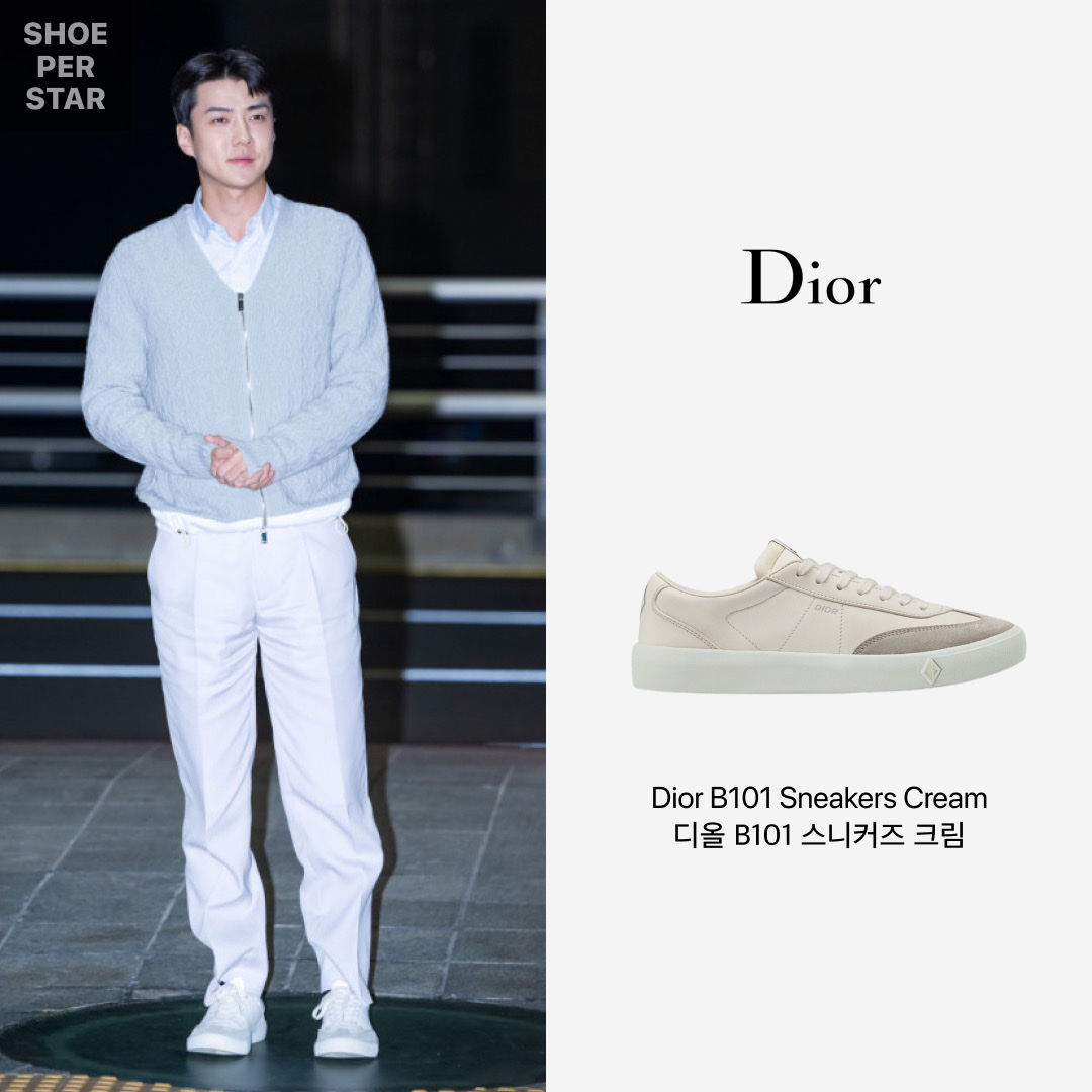 Dior B101 Sneakers Smooth Calfskin & Greige Nubuck Cream 착용 스타일 - 1