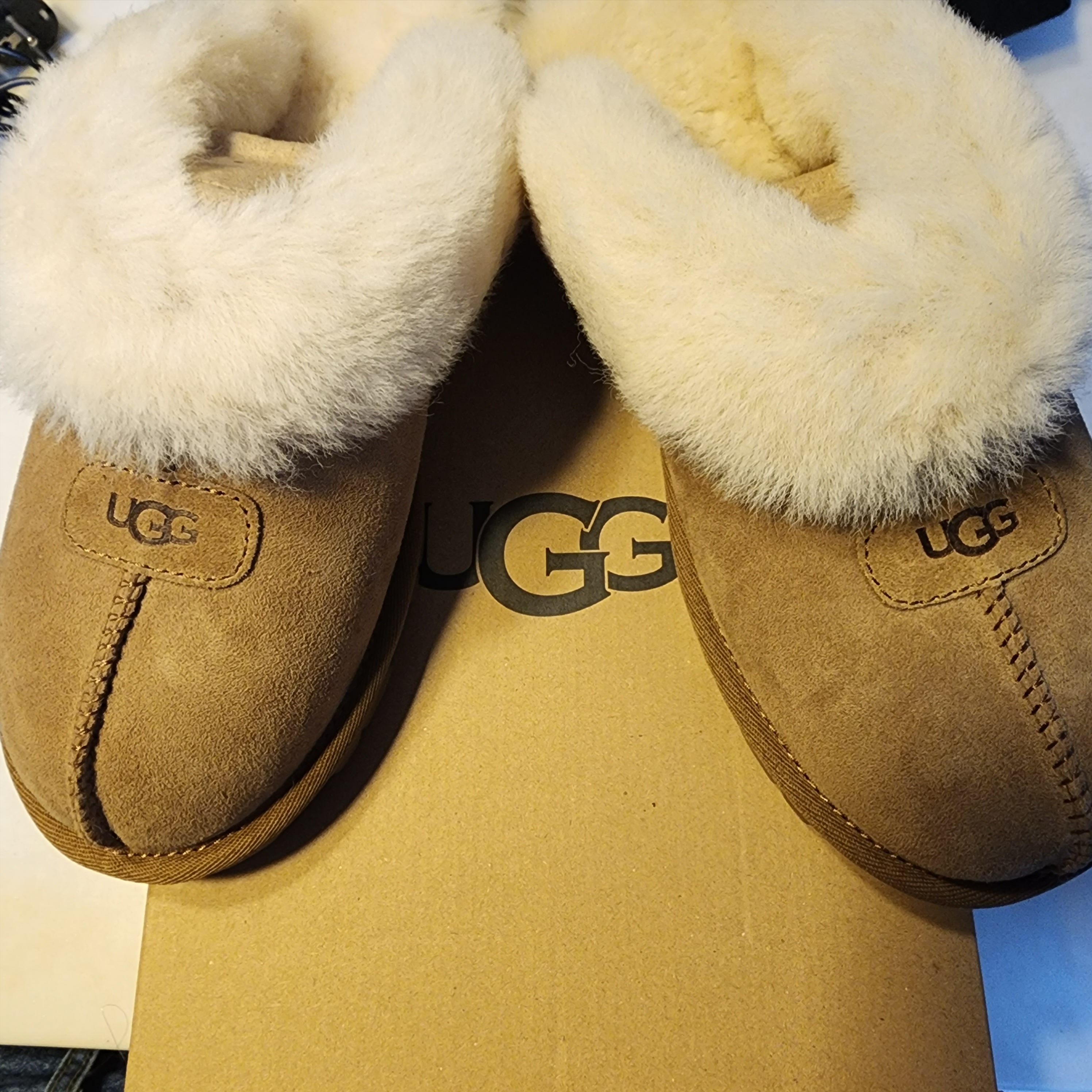 (W) UGG Coquette Slipper Chestnut 착용 스타일