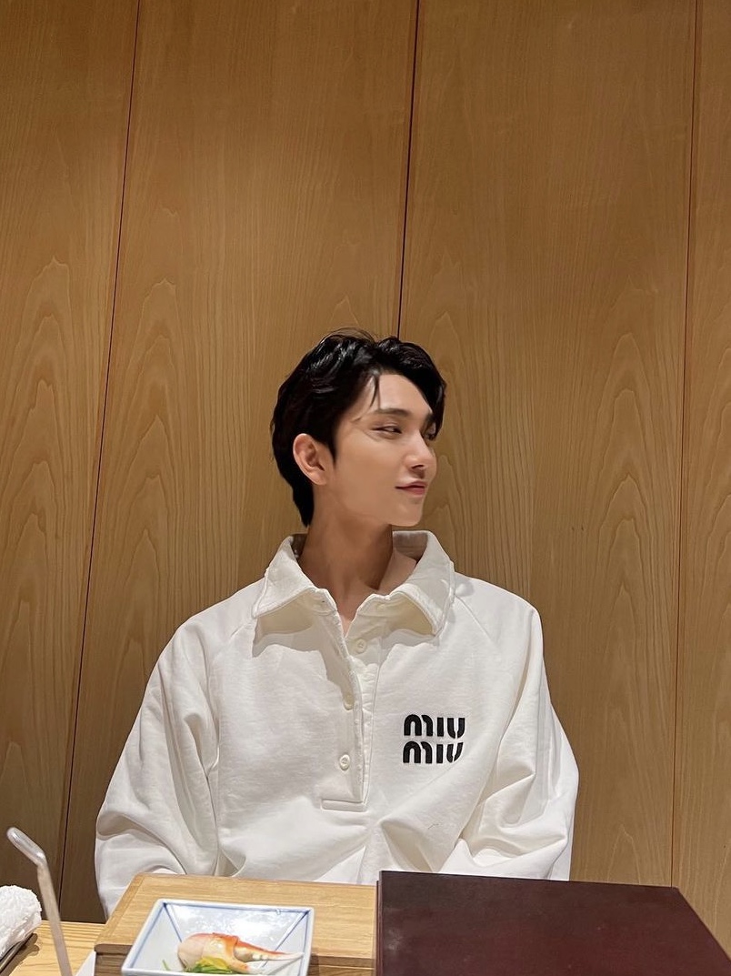 (W) Miu Miu Cotton Polo Sweatshirt White 착용 스타일 - 3