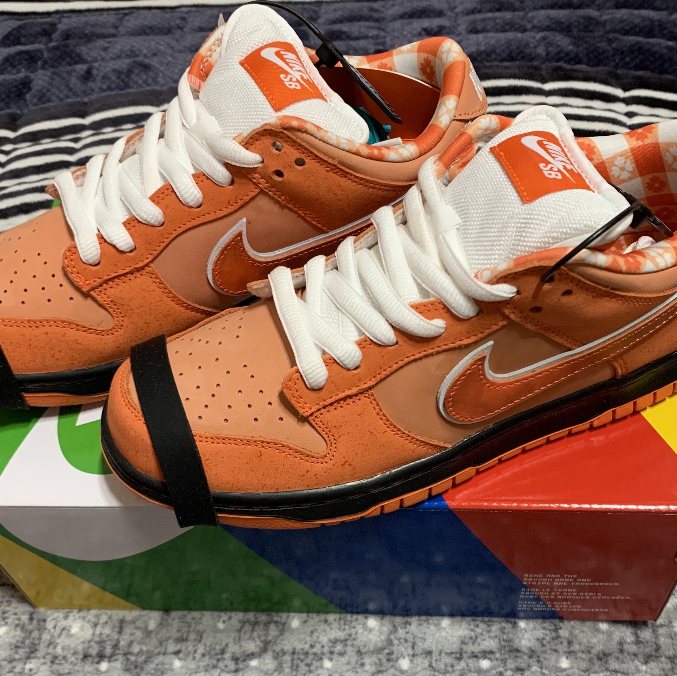 Nike x Concepts SB Dunk Low Orange Lobster (Regular Box) 착용 스타일