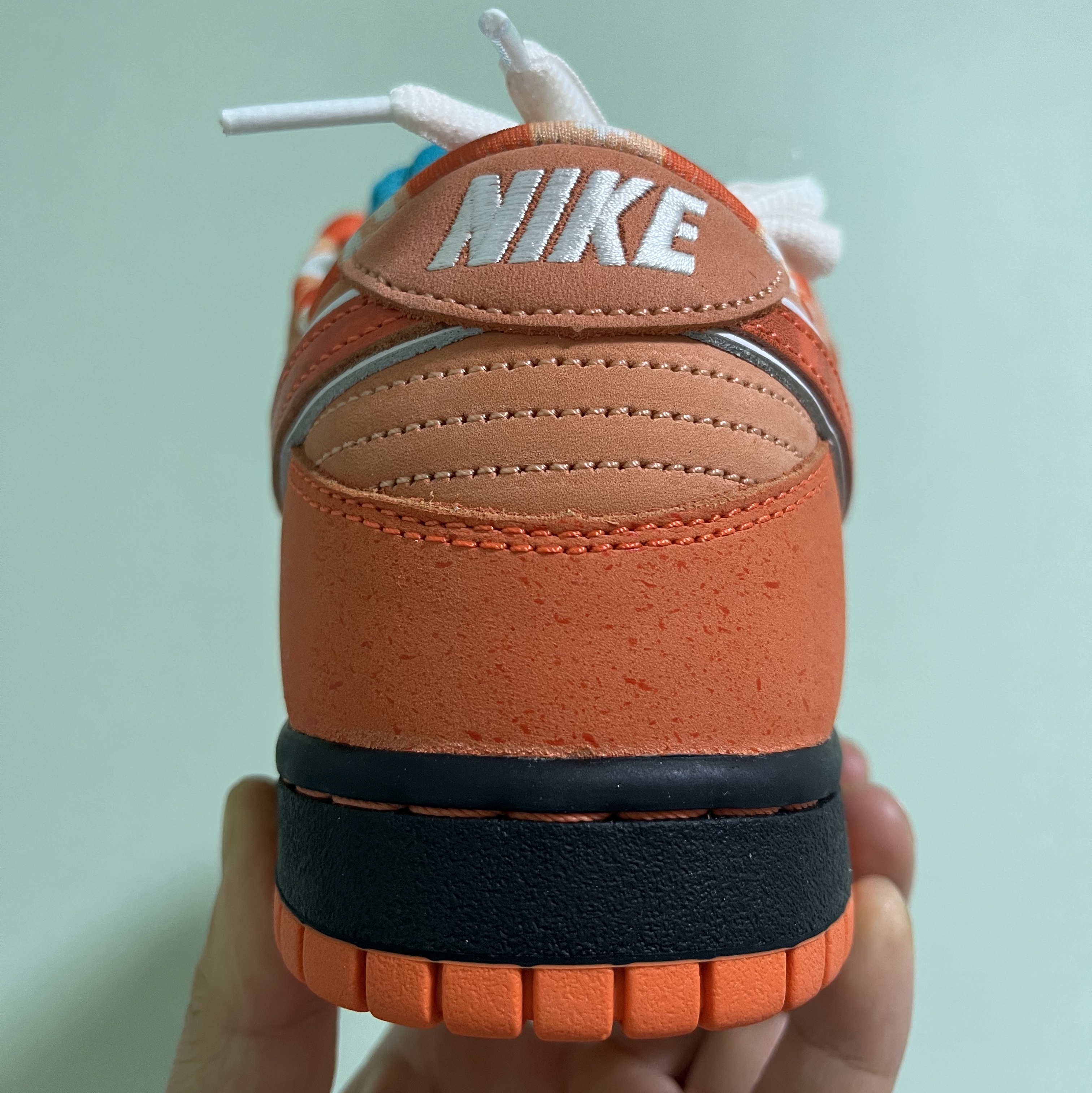 Nike x Concepts SB Dunk Low Orange Lobster (Regular Box), Nike x Concepts SB Dunk Low Orange Lobster (Special Box) 착용 스타일 - 3