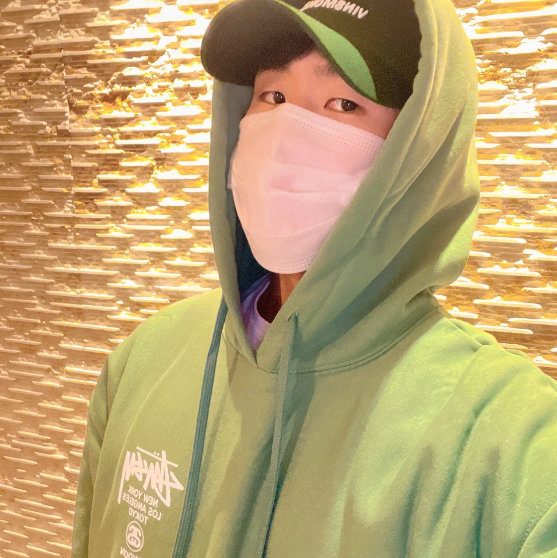 스투시 월드투어 후드 그린 2022 | Stussy | KREAM Stussy World Tour Hoodie Green 2022