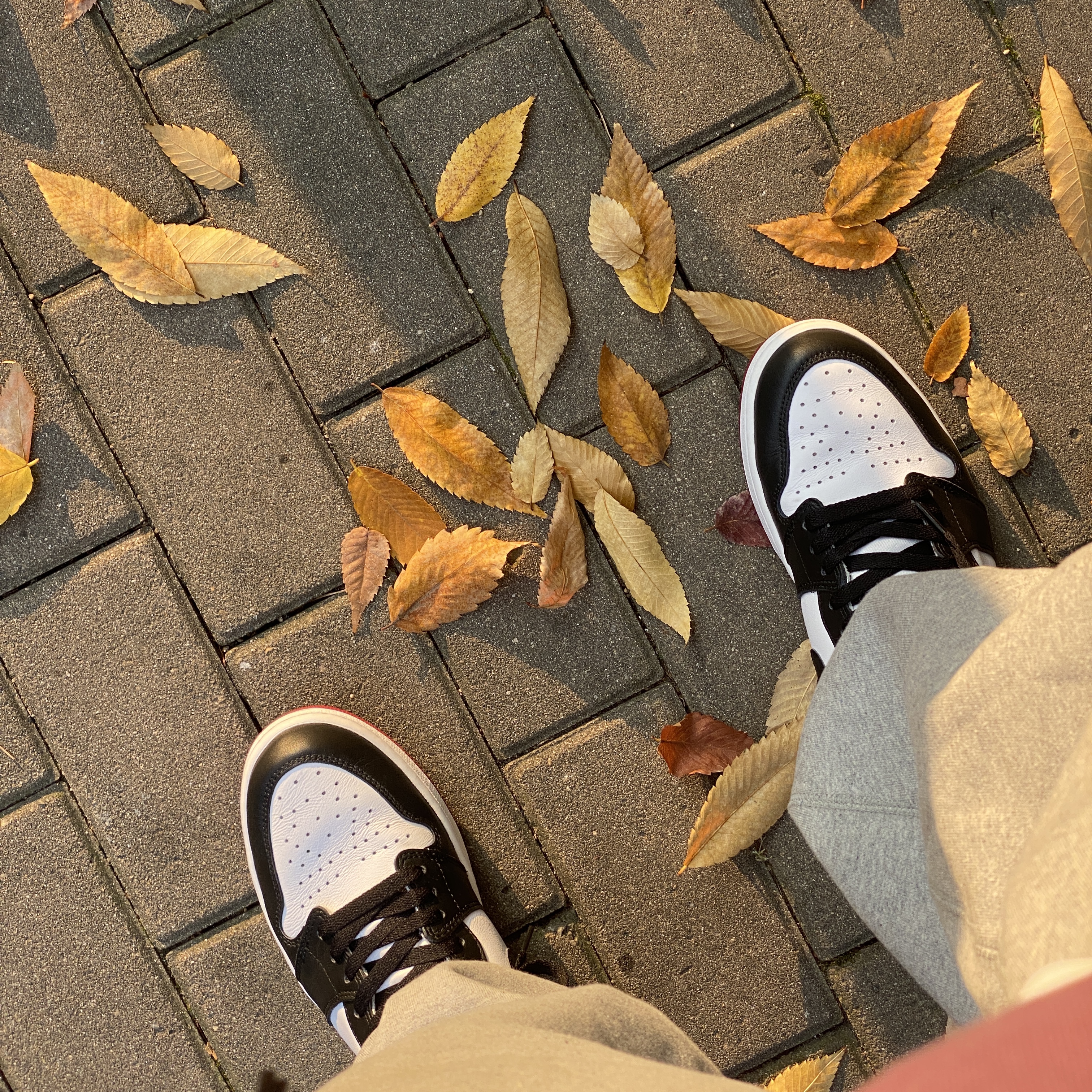 Jordan 1 Retro High OG Black Toe 2016 착용 스타일