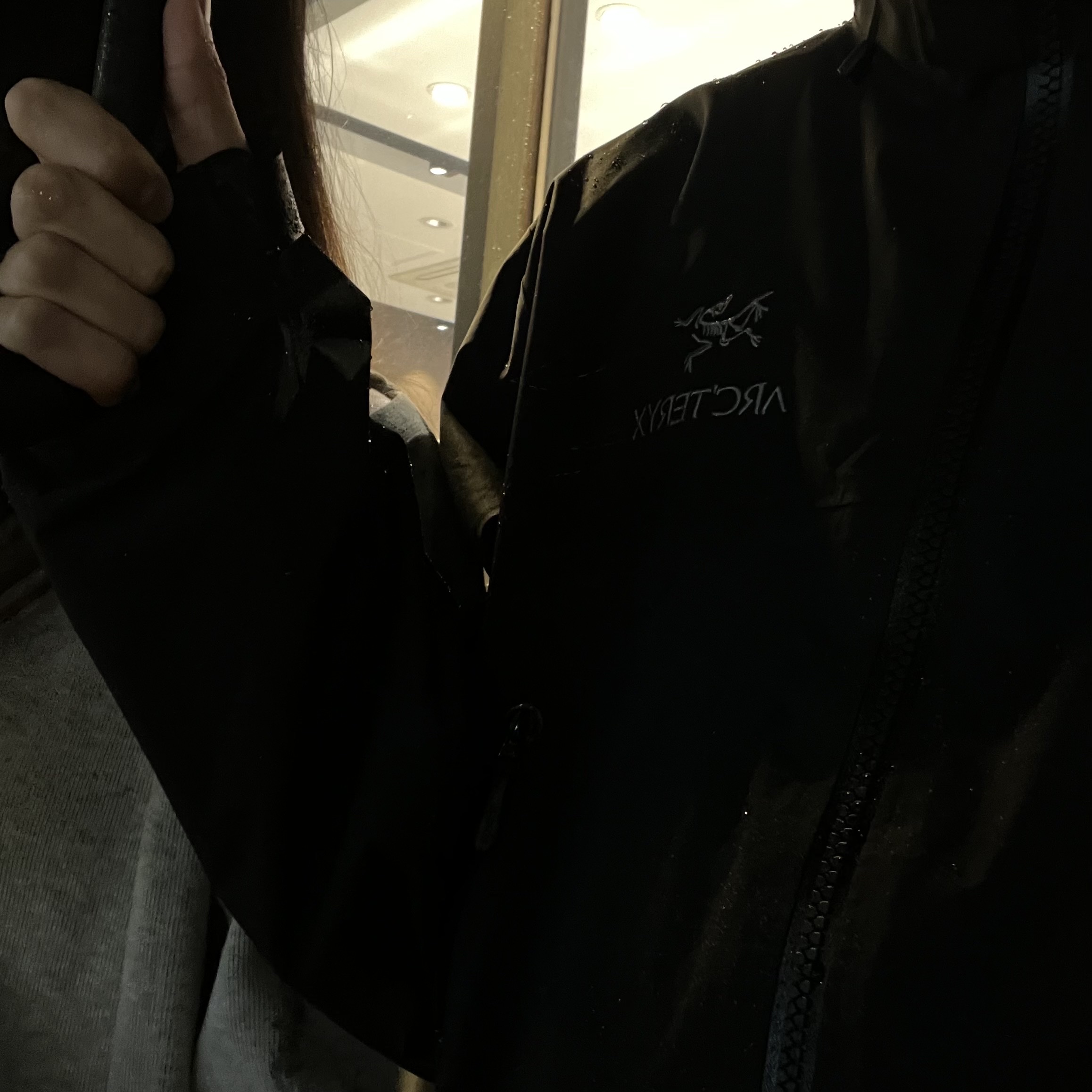 Arc'teryx Beta AR Jacket Black 착용 스타일