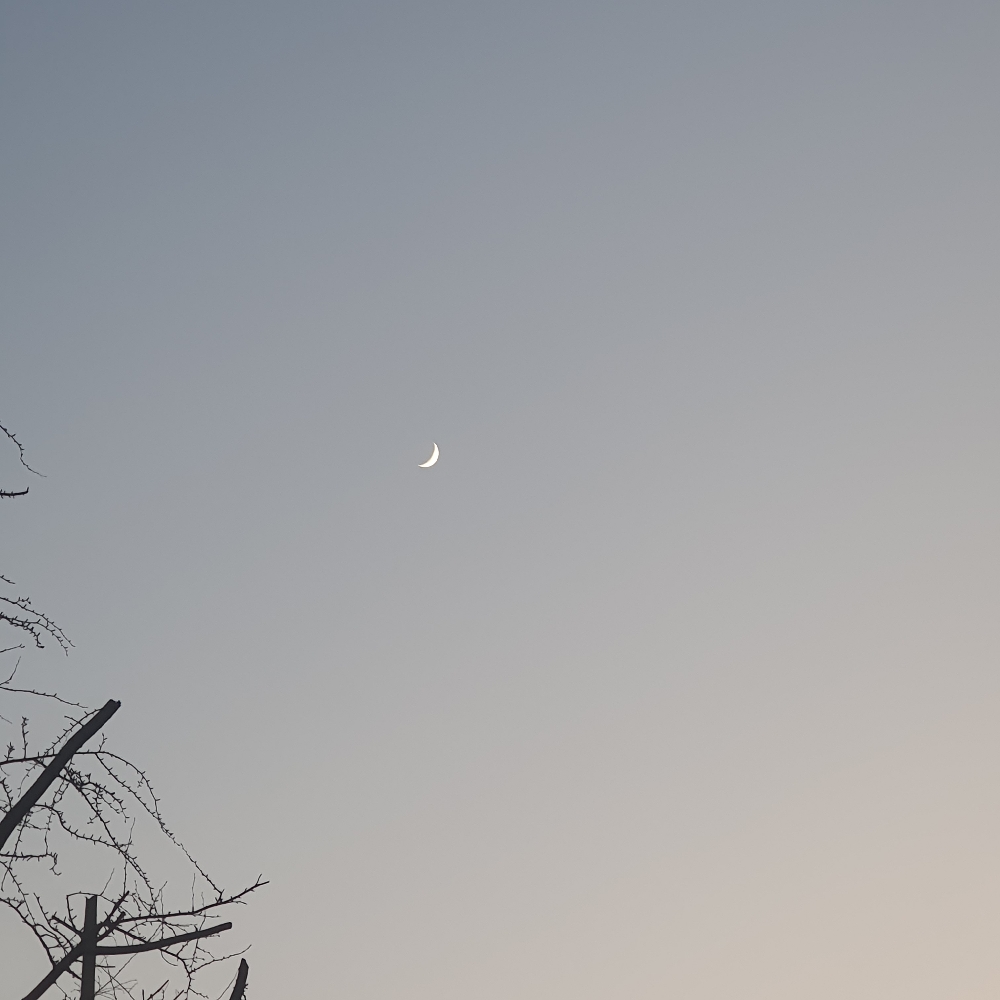 관심 유저 프로필 이미지