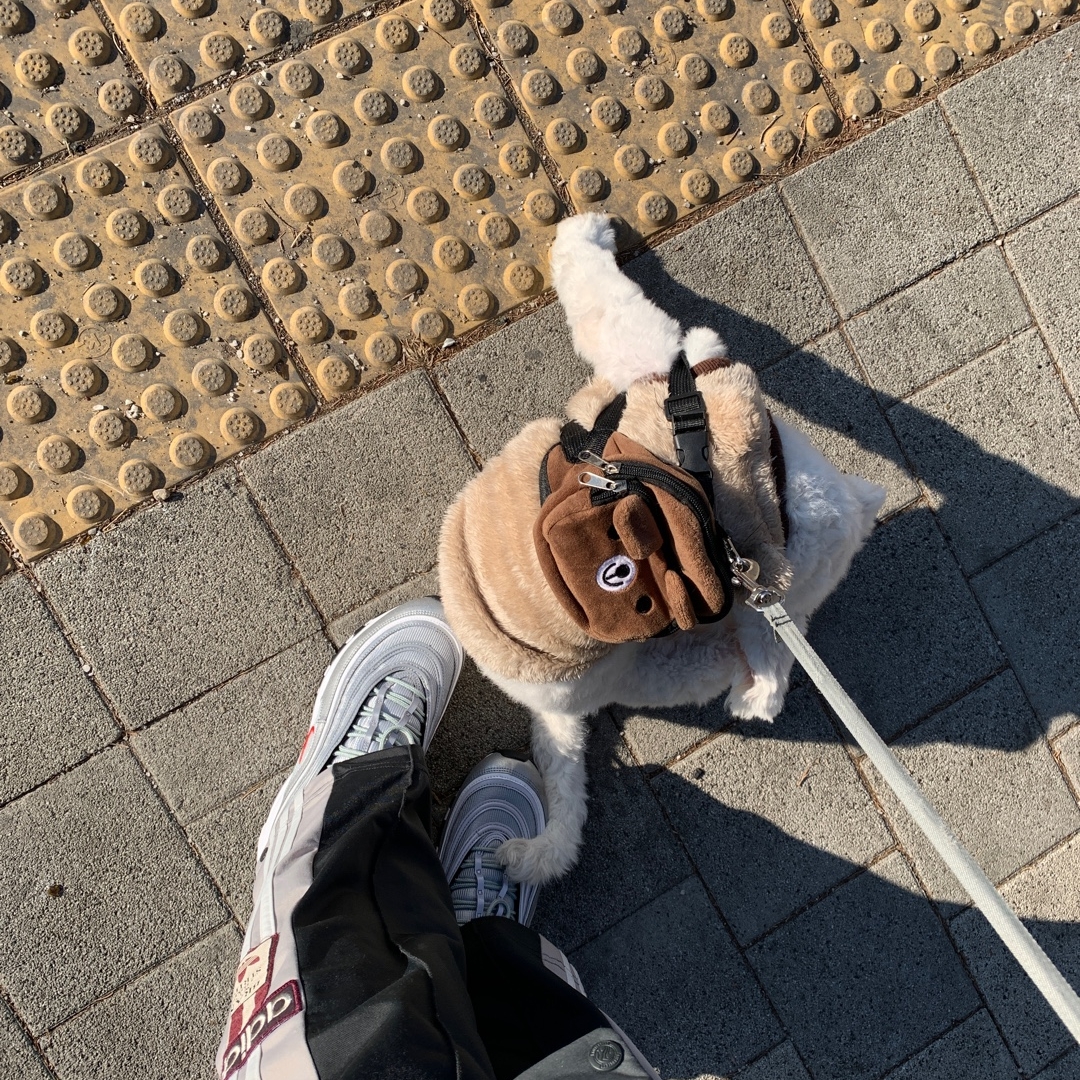 Nike Air Max 97 OG Silver Bullet 2022 착용 스타일