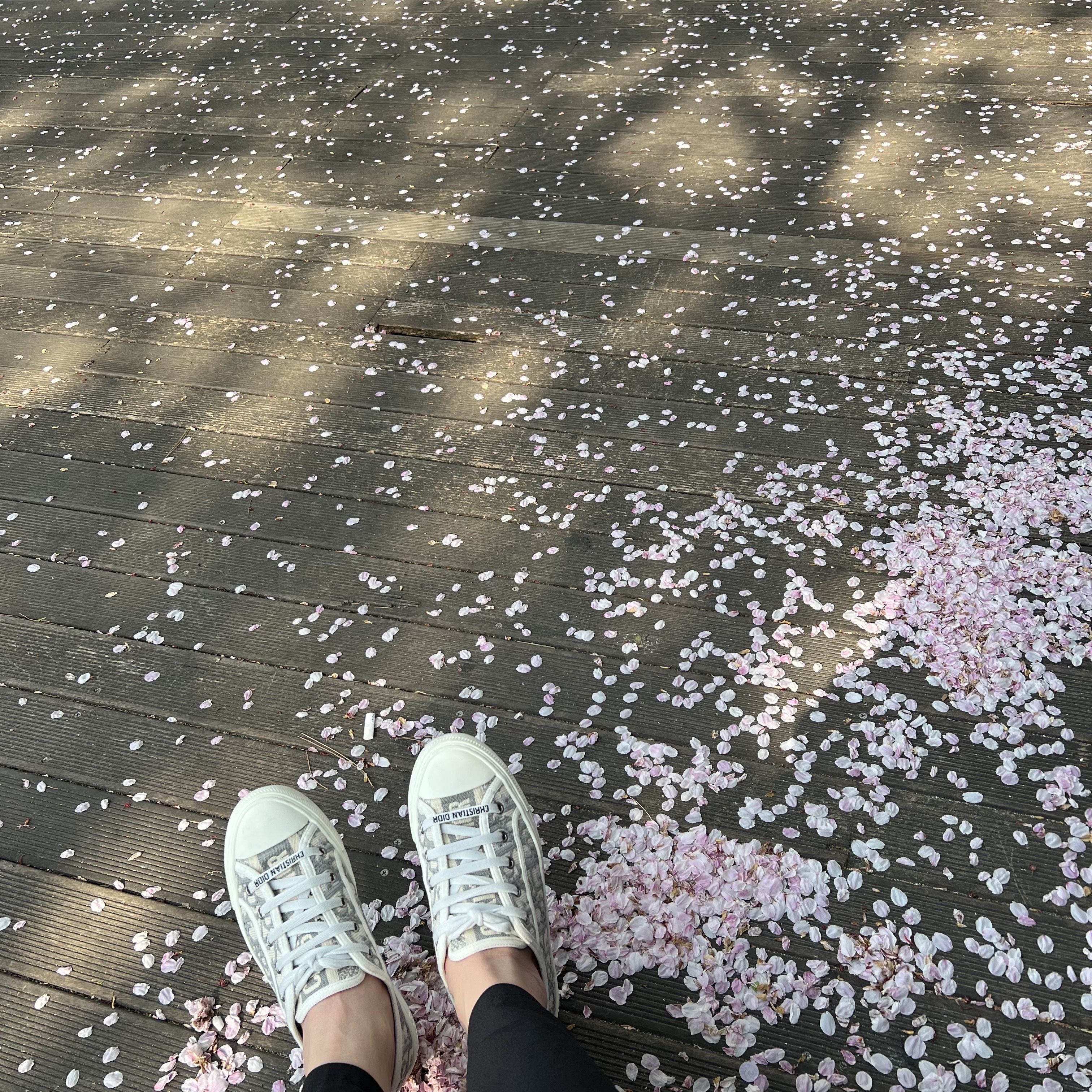 (W) Dior Walk'N'Dior Sneakers Oblique Gray 착용 스타일