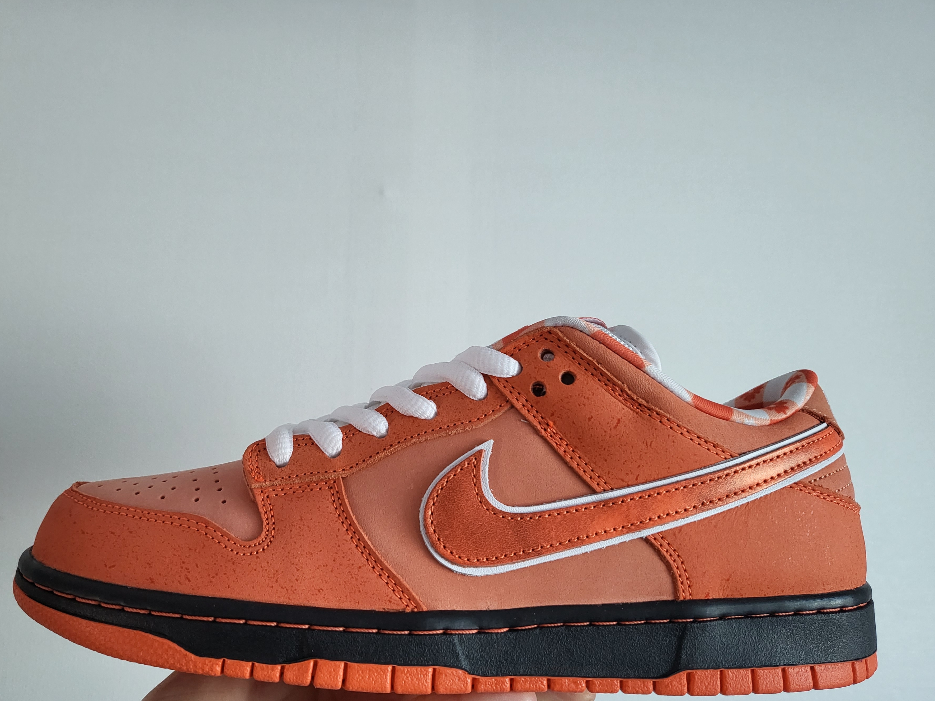 Nike x Concepts SB Dunk Low Orange Lobster (Regular Box) 착용 스타일